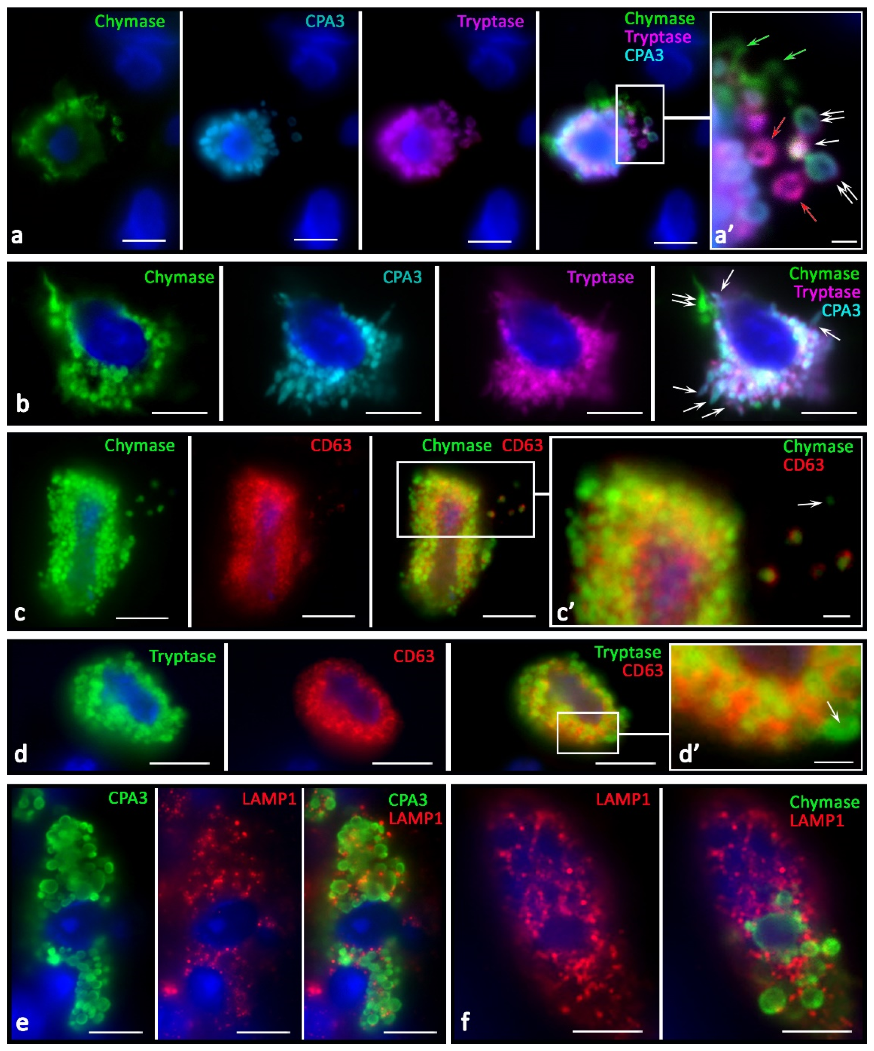 Ijms 23 08930 g007 Ijms 23 08930 g007