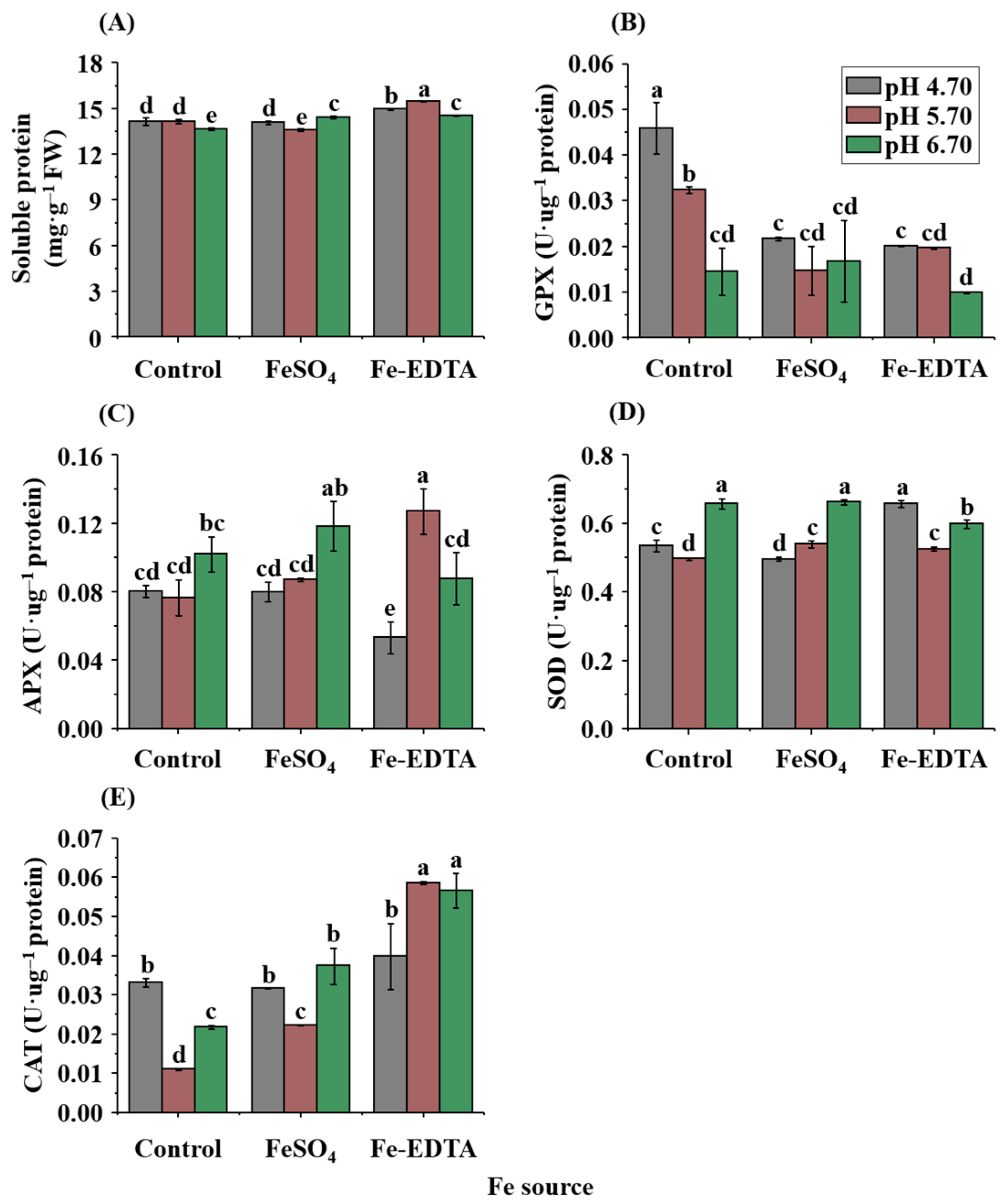 Ijms 23 08943 g004 Ijms 23 08943 g004