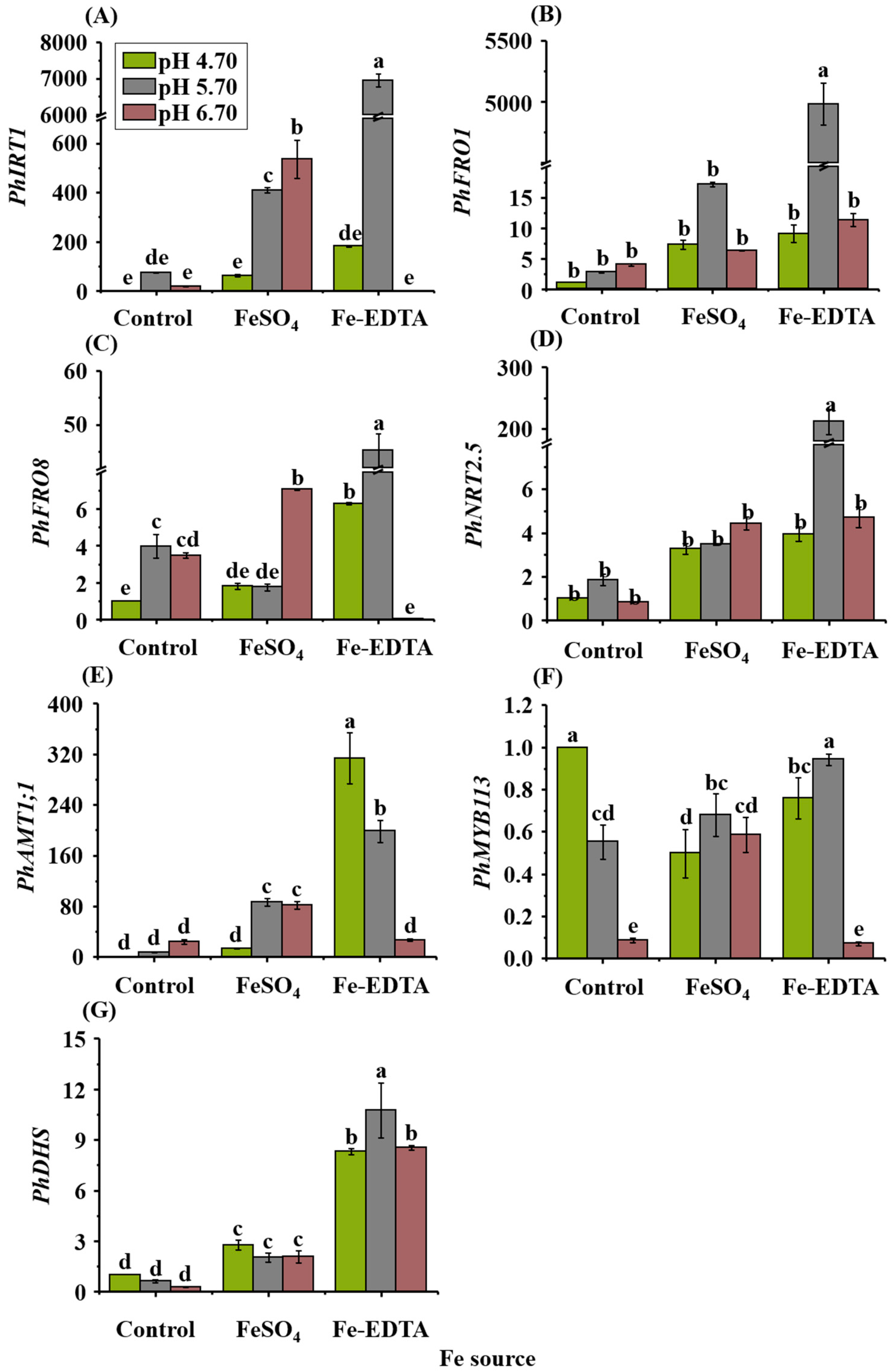 Ijms 23 08943 g006 Ijms 23 08943 g006