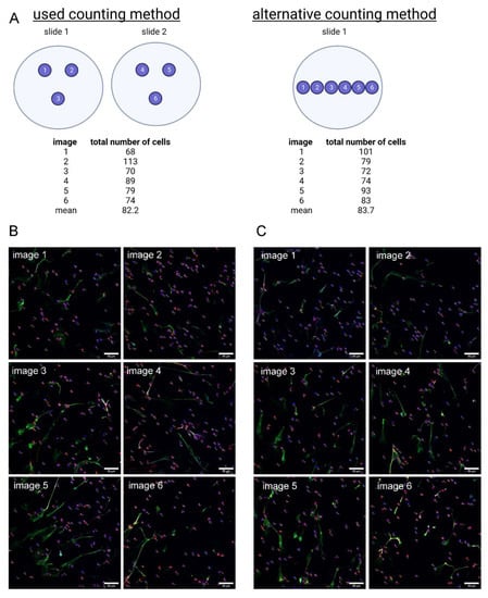 Ijms 23 08953 g0a4 550