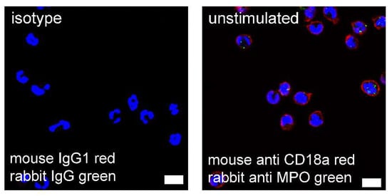 Ijms 23 08953 g0a5 550