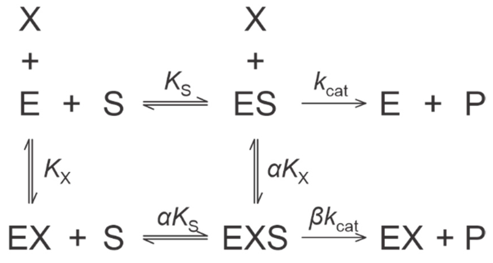 Ijms 23 08993 sch001