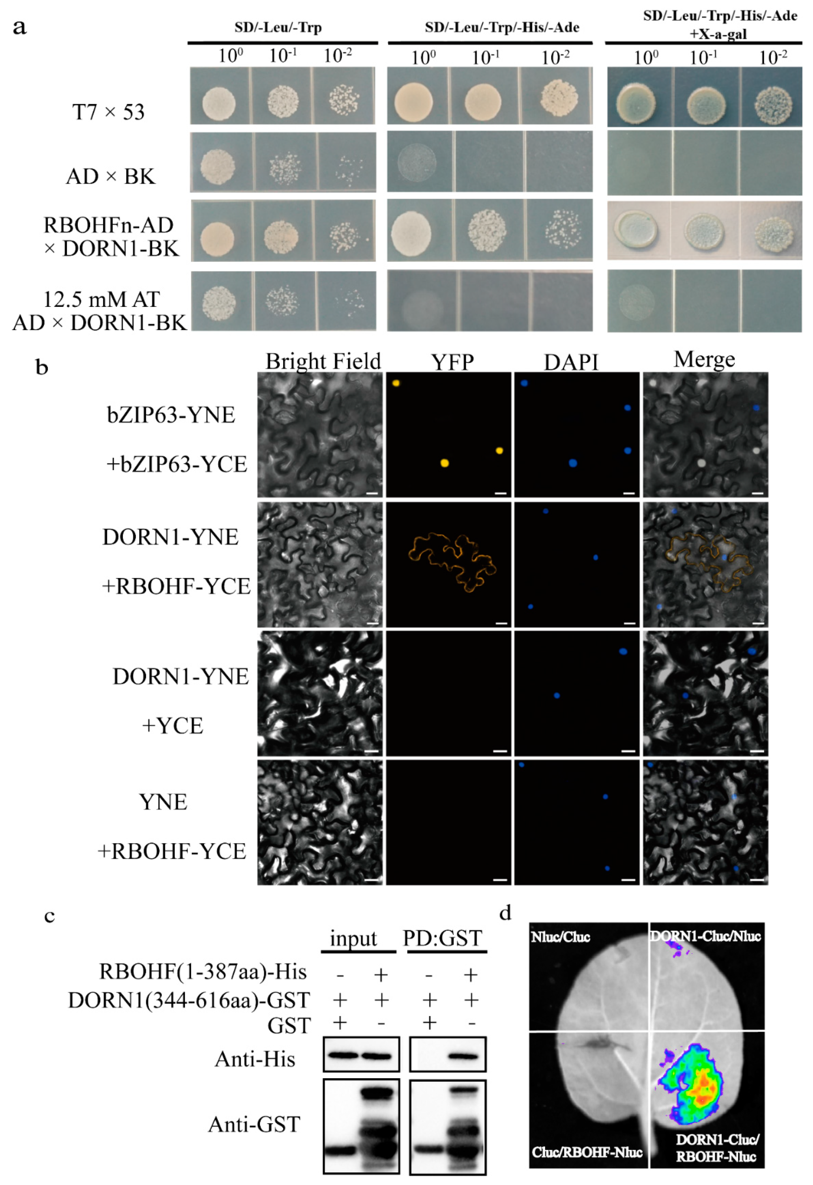 Ijms 23 09002 g006