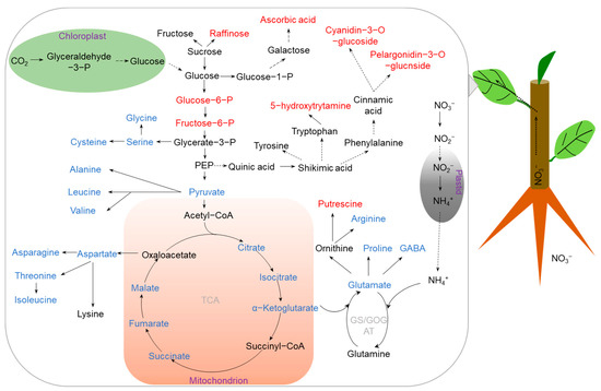Ijms 23 09079 g001 550
