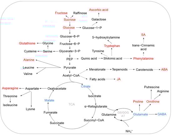 Ijms 23 09079 g003 550