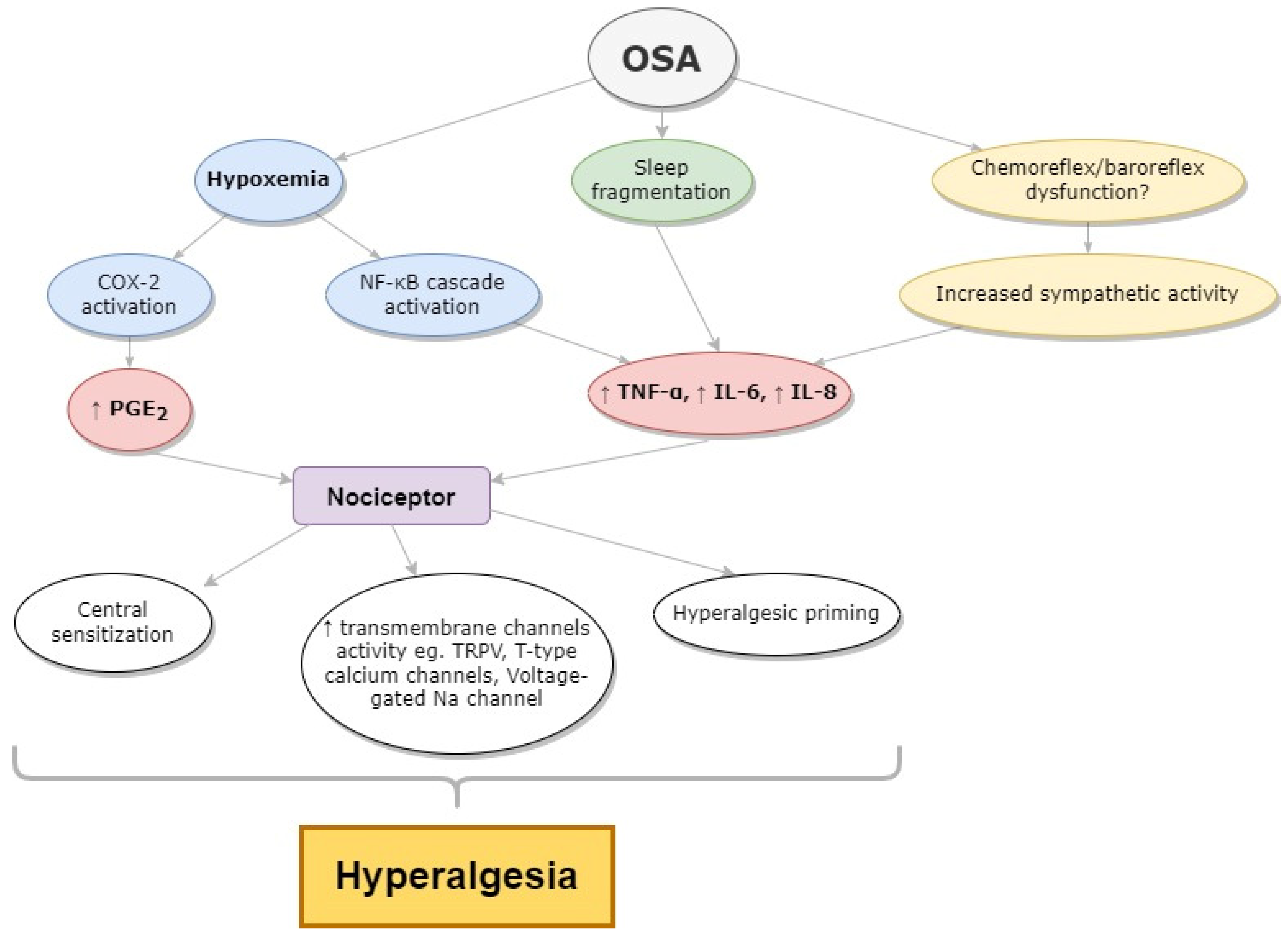 Ijms 23 09080 g002 Ijms 23 09080 g002