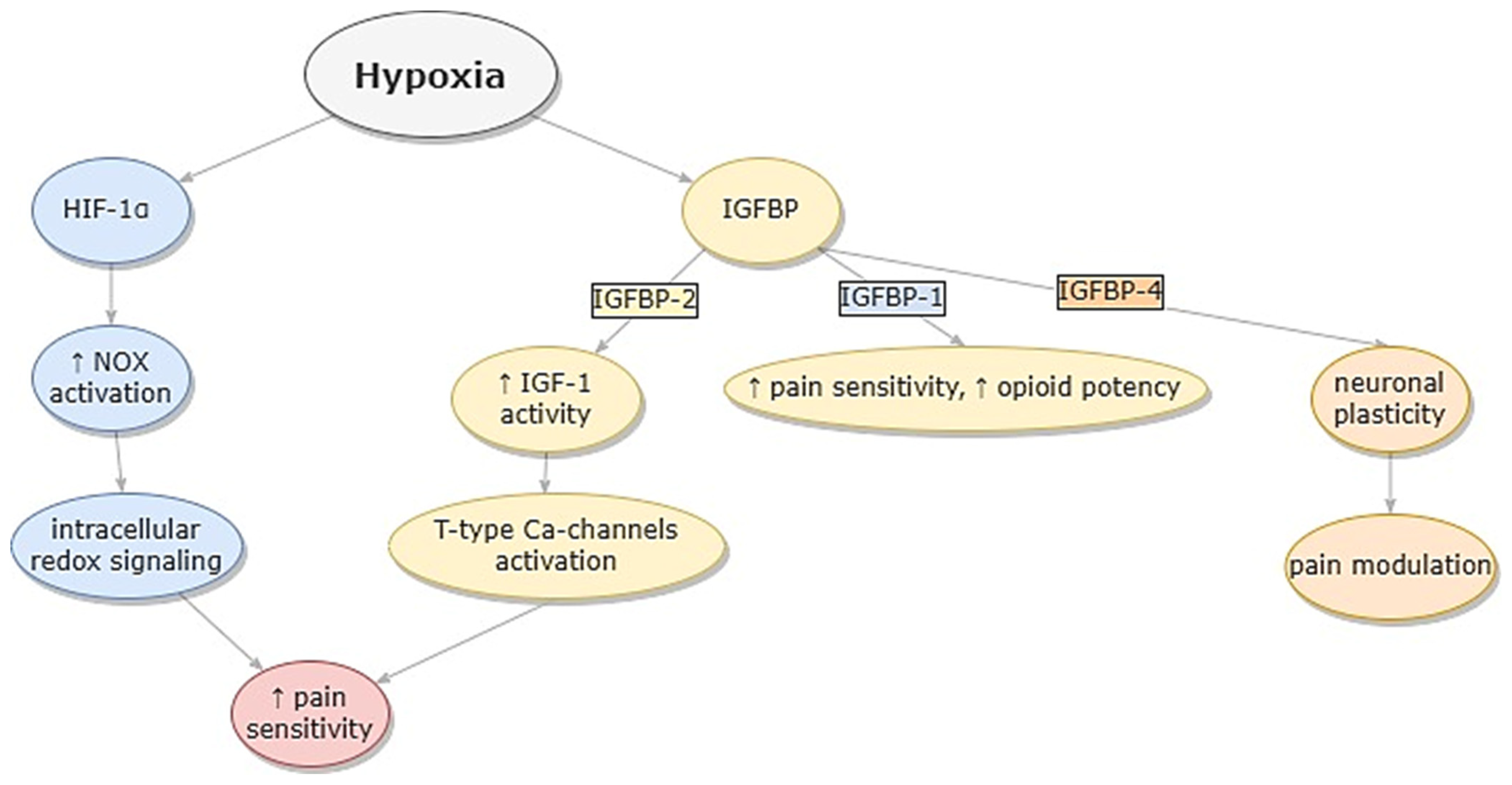 Ijms 23 09080 g003 Ijms 23 09080 g003