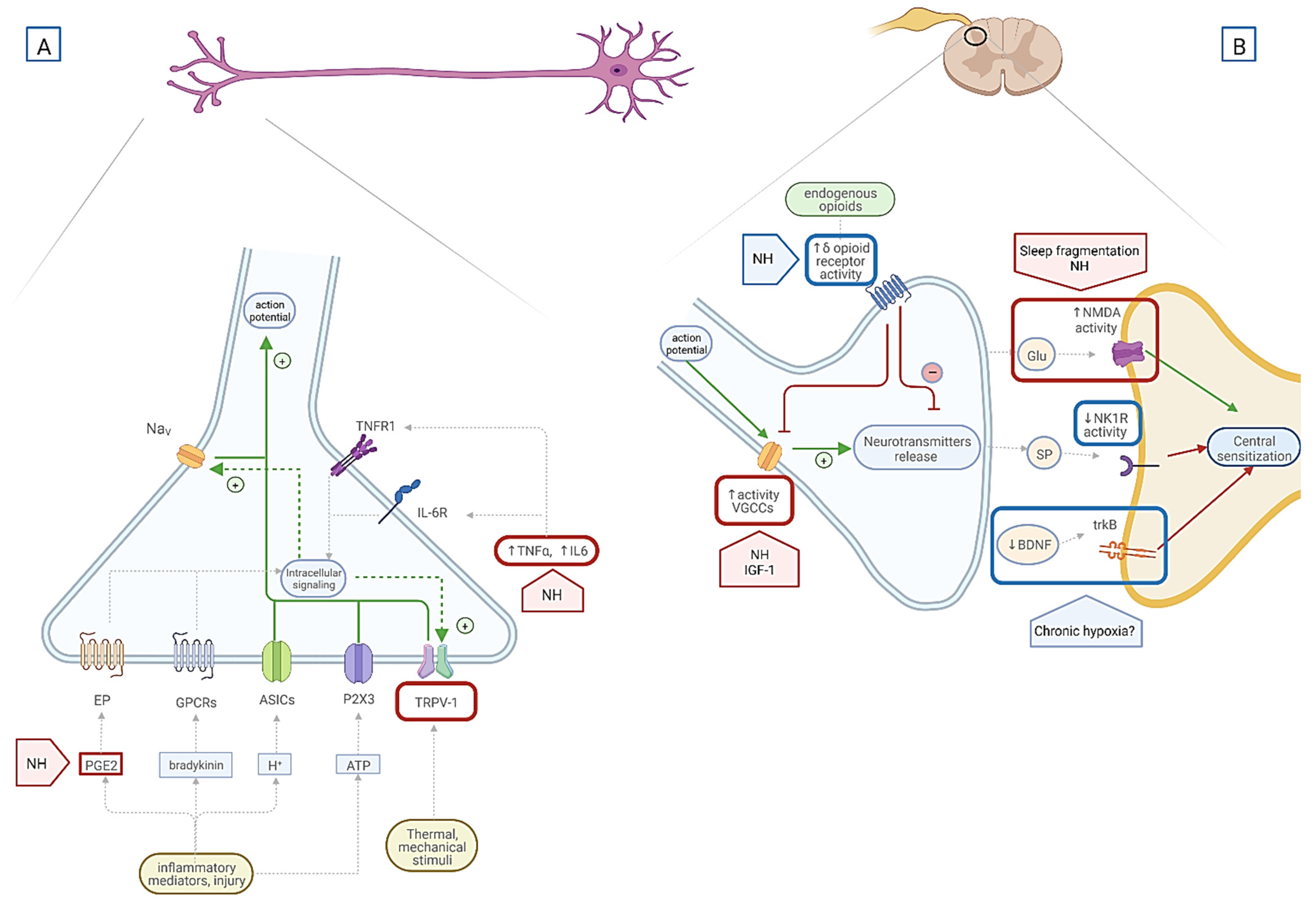 Ijms 23 09080 g004 Ijms 23 09080 g004