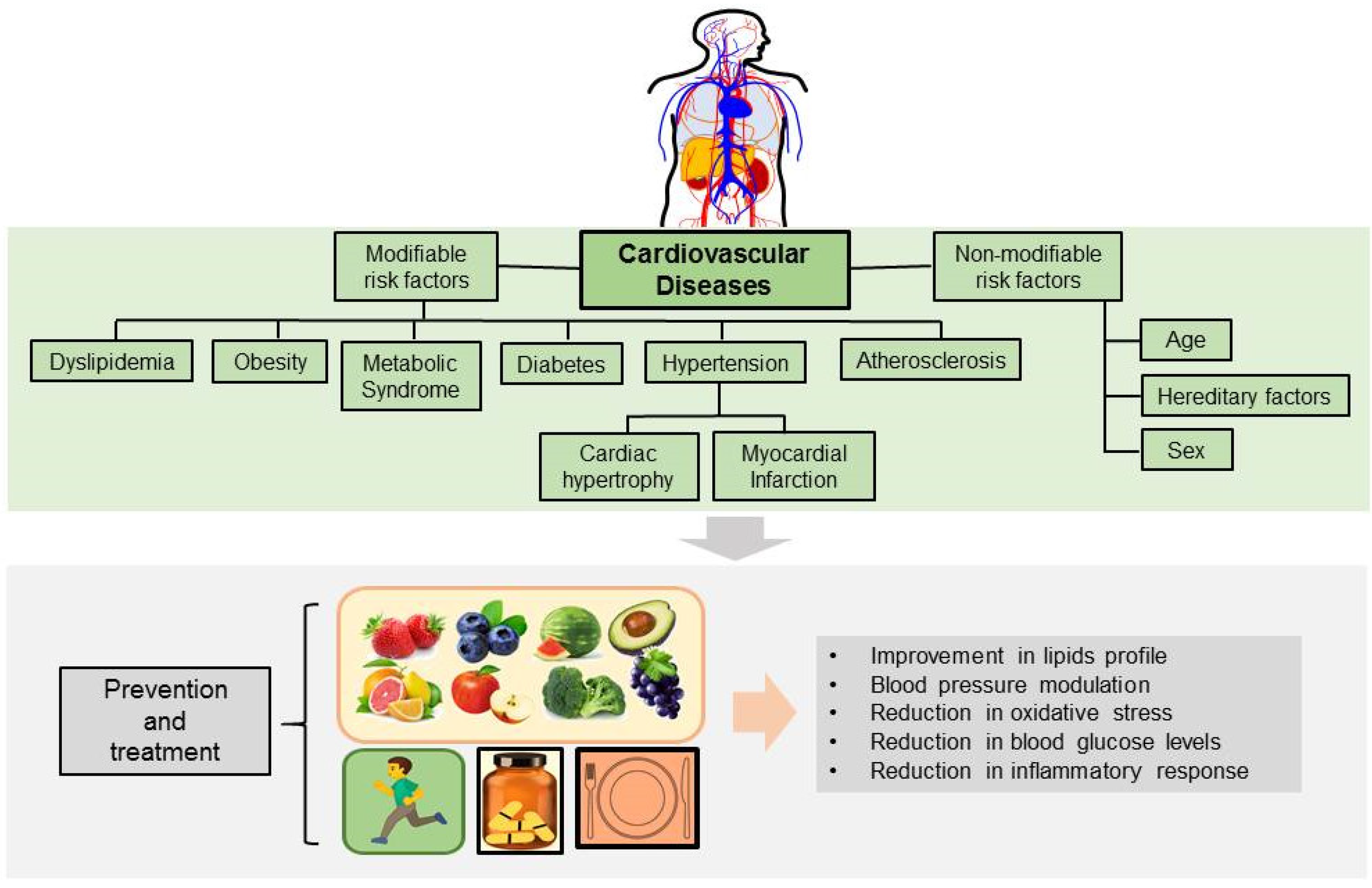 Ijms 23 09082 g001 Ijms 23 09082 g001