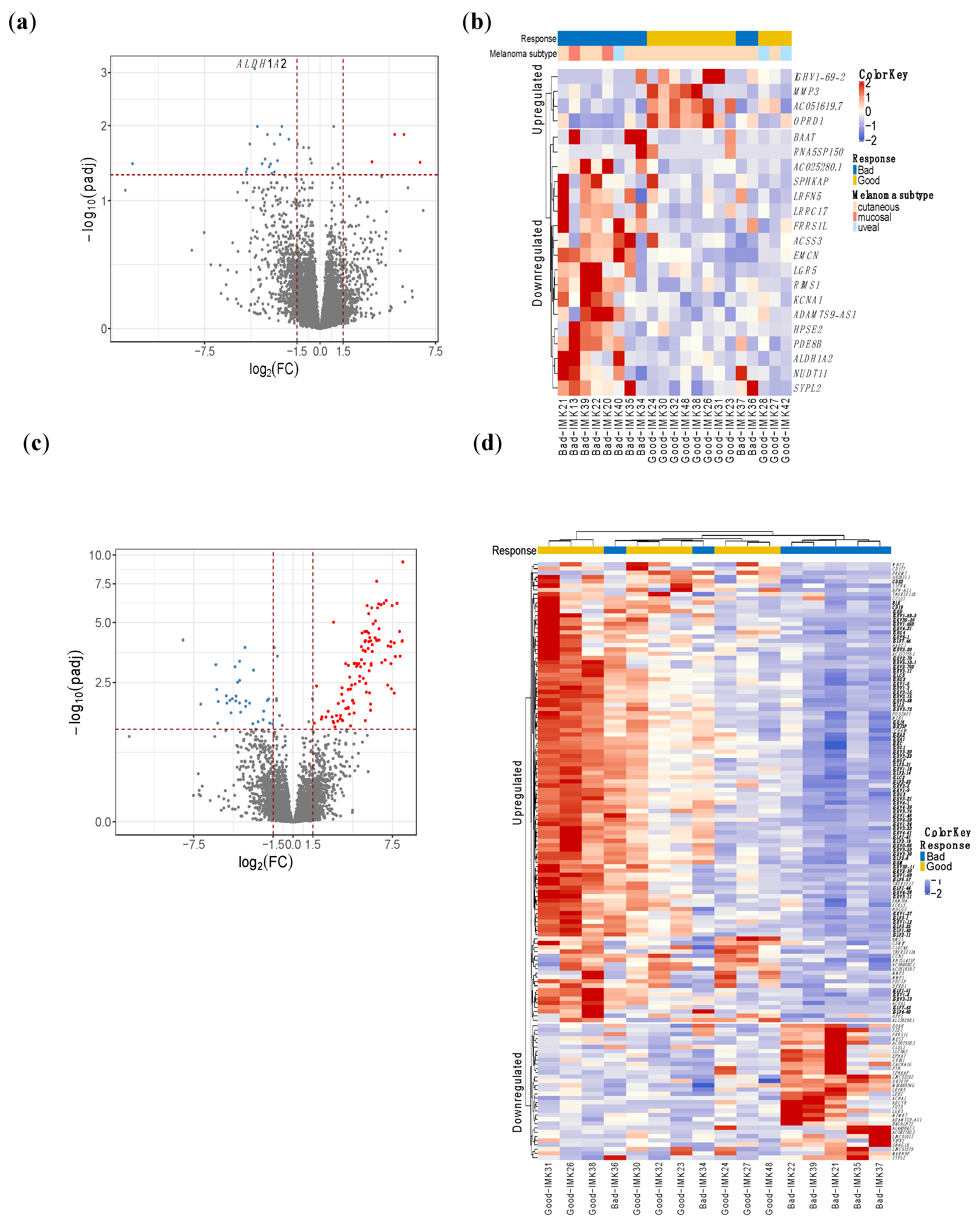 Ijms 23 09124 g001 Ijms 23 09124 g001