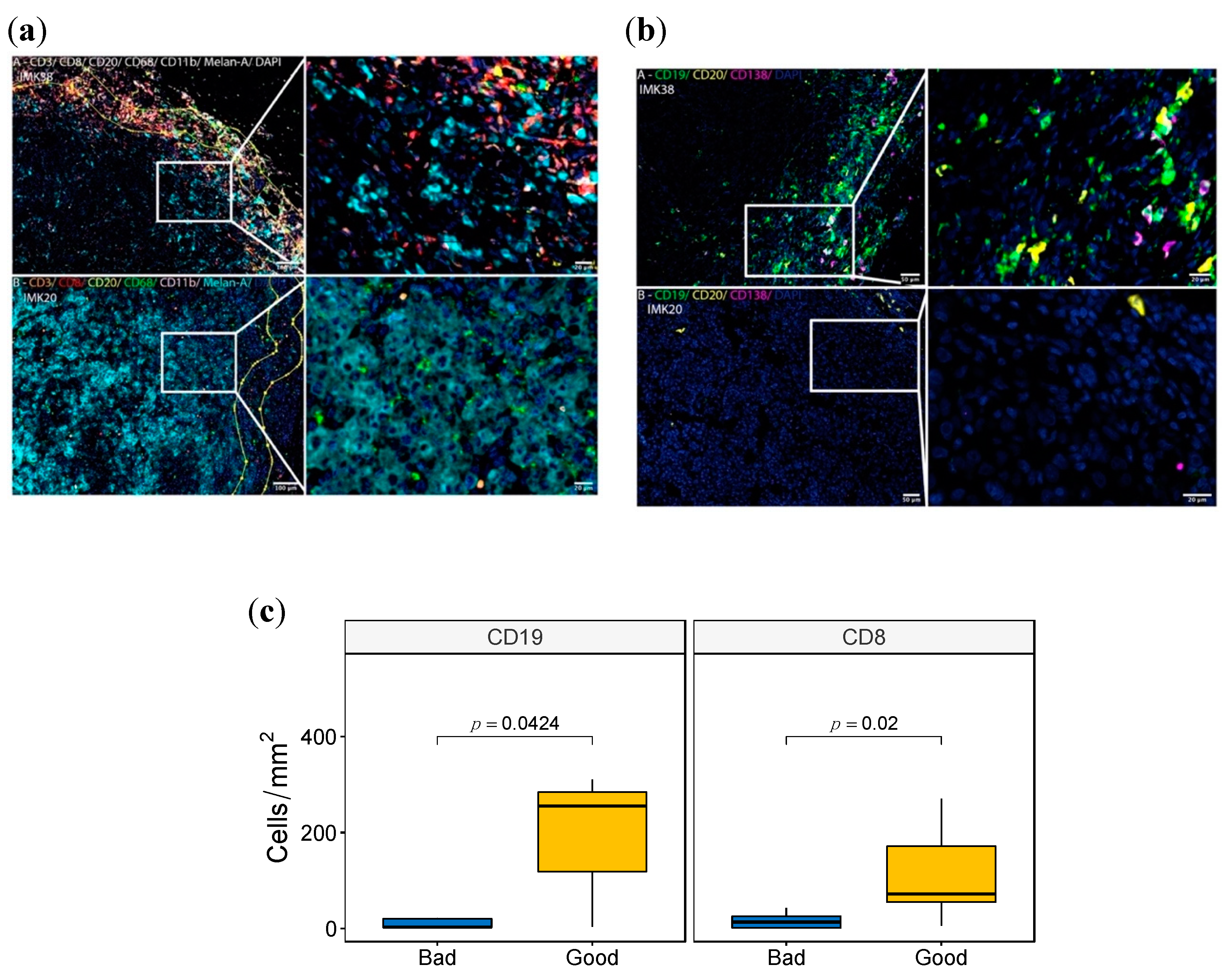 Ijms 23 09124 g004 Ijms 23 09124 g004