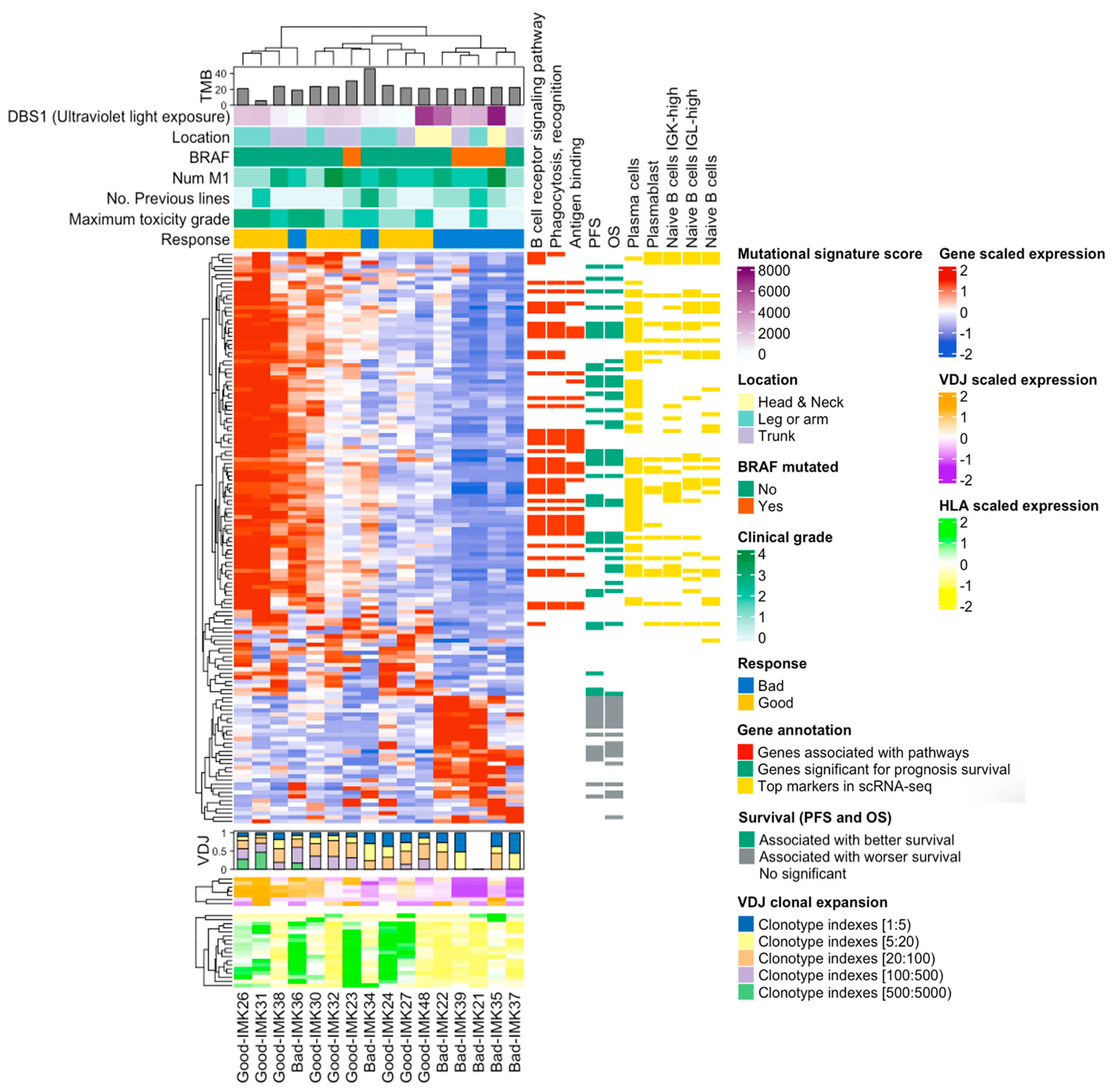 Ijms 23 09124 g007 Ijms 23 09124 g007