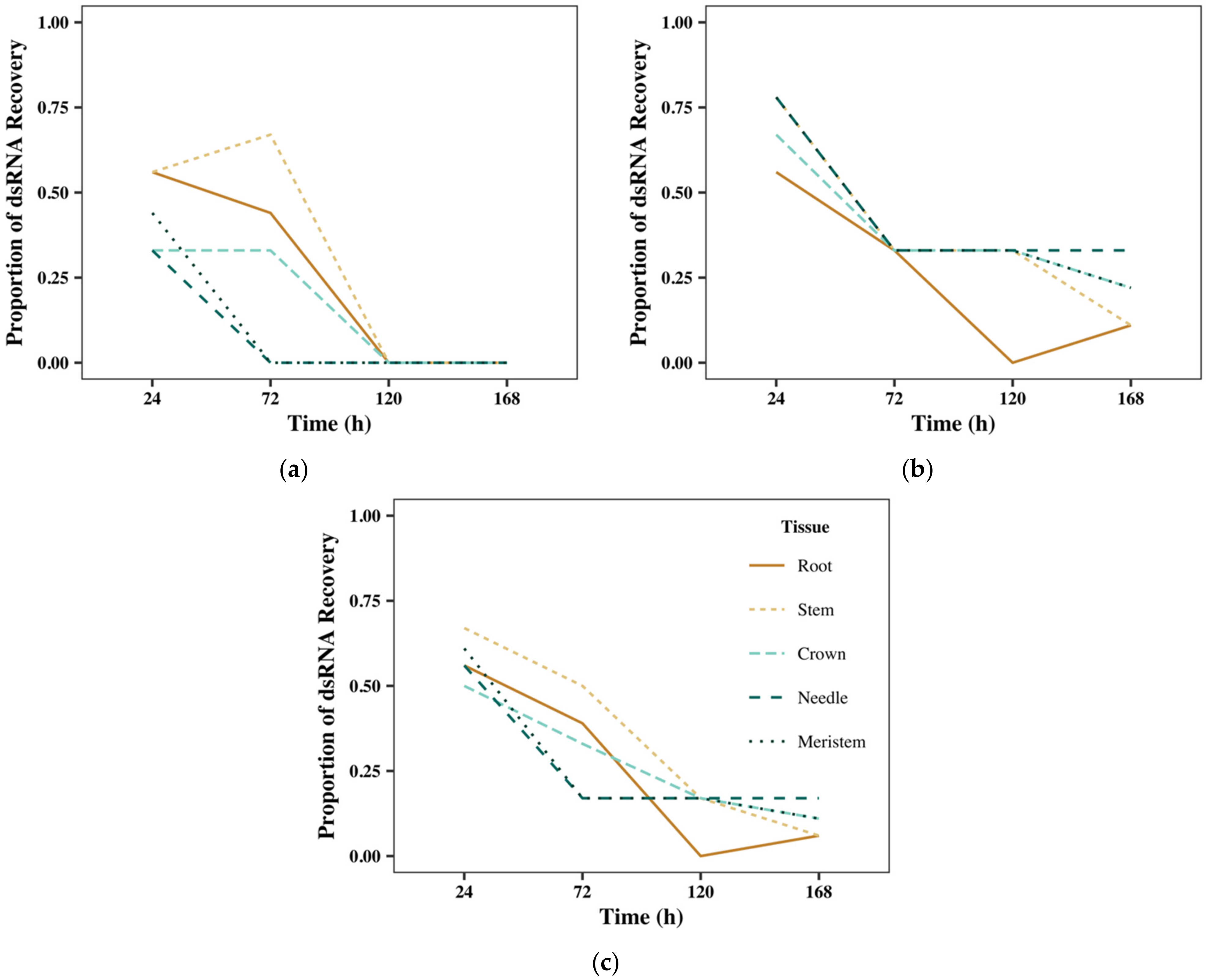 Ijms 23 09167 g003 Ijms 23 09167 g003