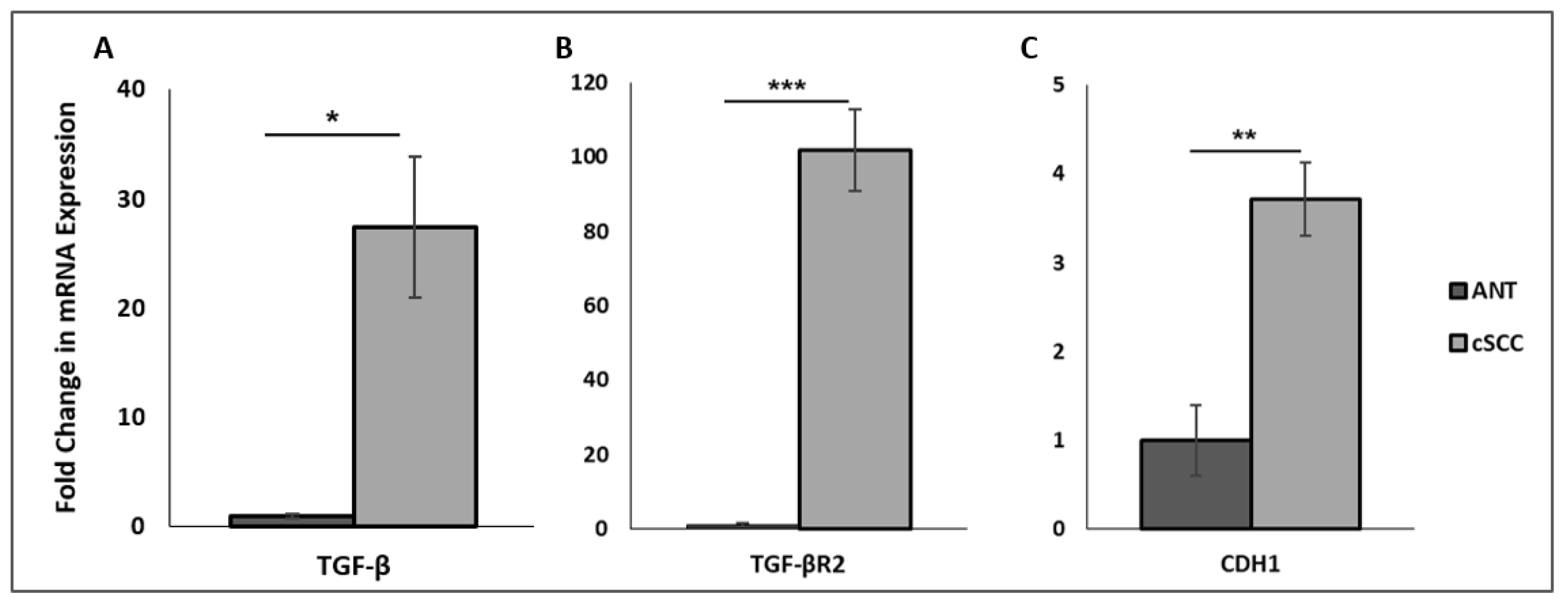Ijms 23 09183 g001 Ijms 23 09183 g001