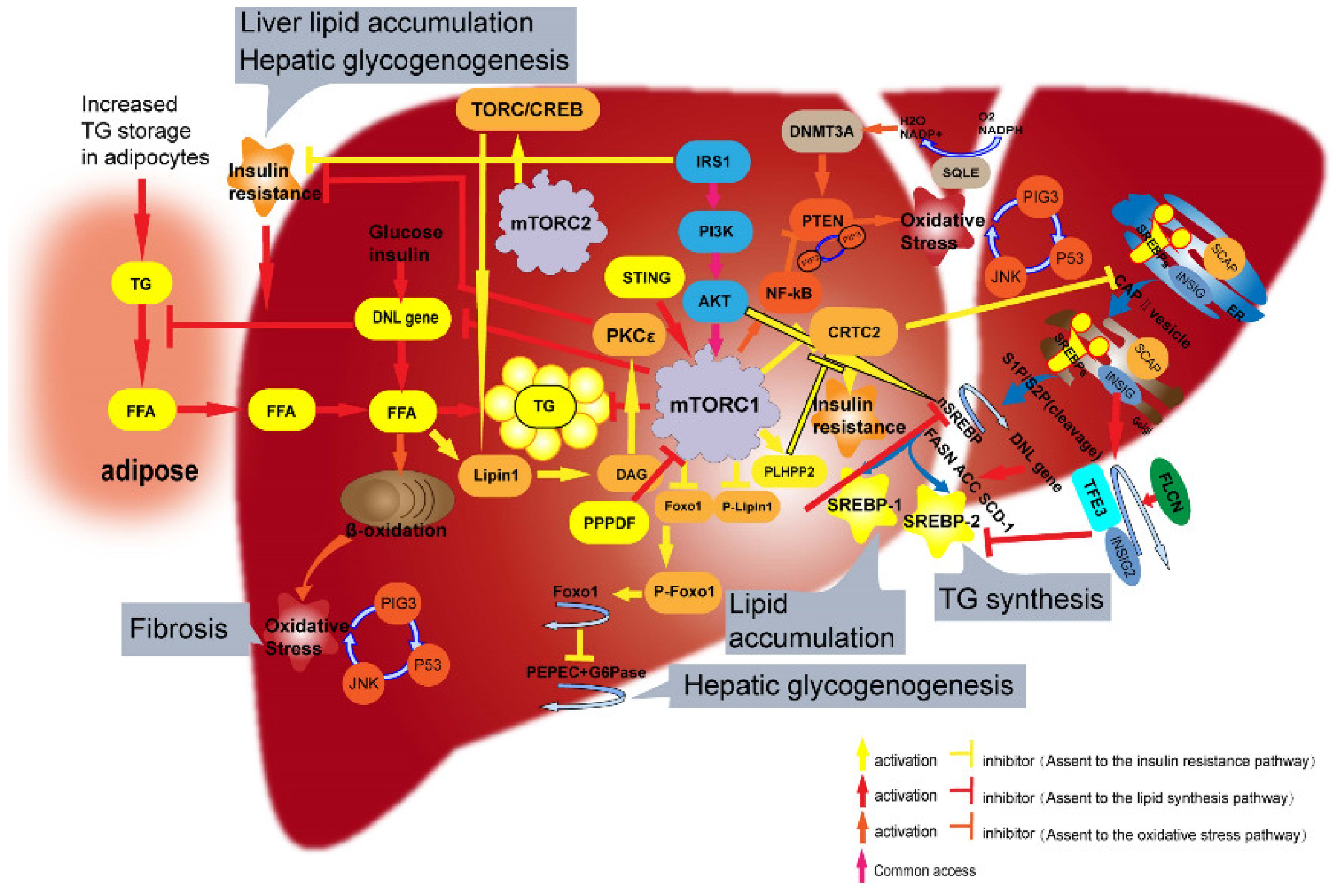 Ijms 23 09196 g002 Ijms 23 09196 g002