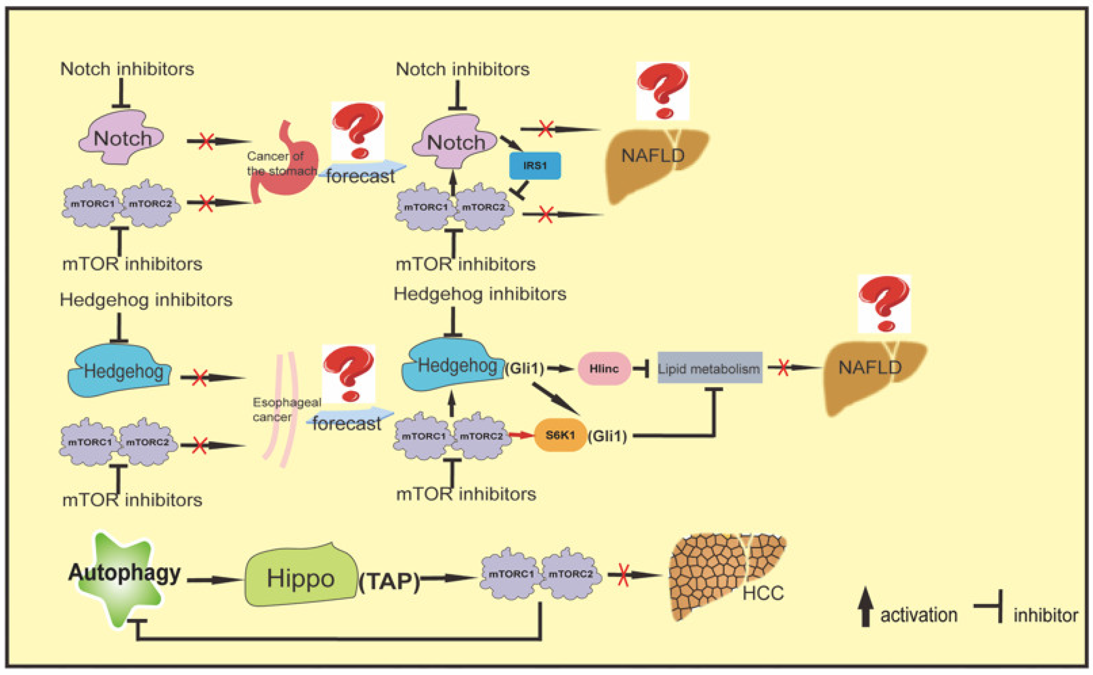 Ijms 23 09196 g004 Ijms 23 09196 g004