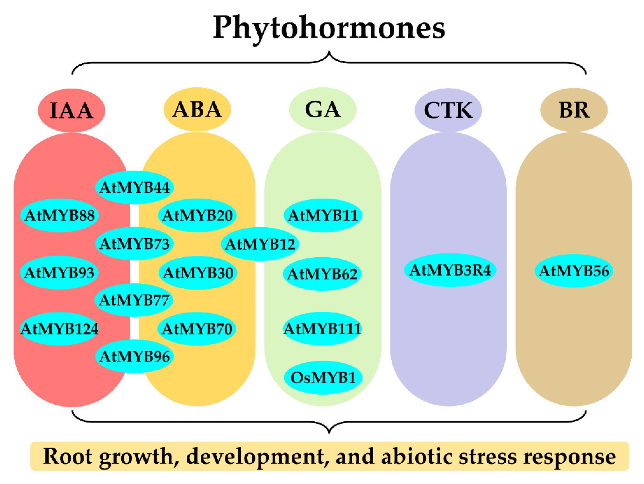Ijms 23 09262 g003 Ijms 23 09262 g003