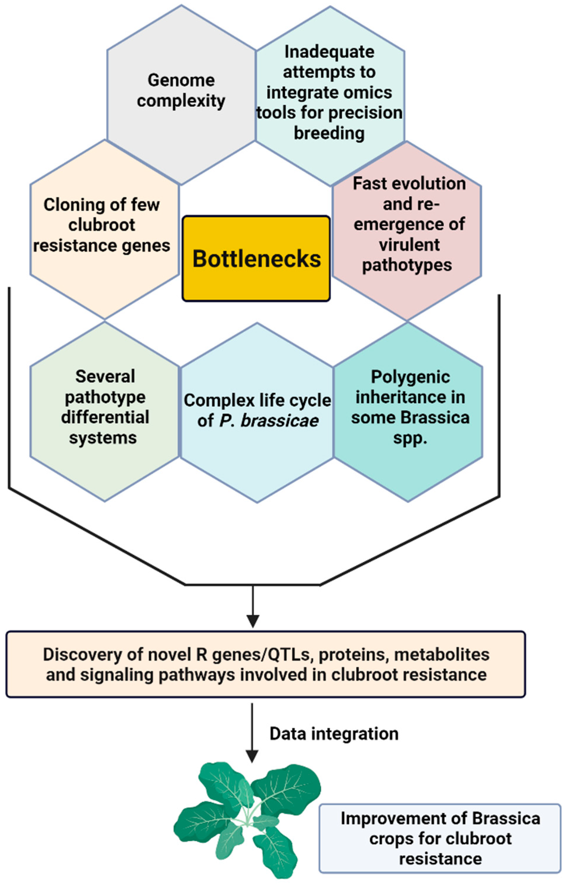 Ijms 23 09280 g004 Ijms 23 09280 g004