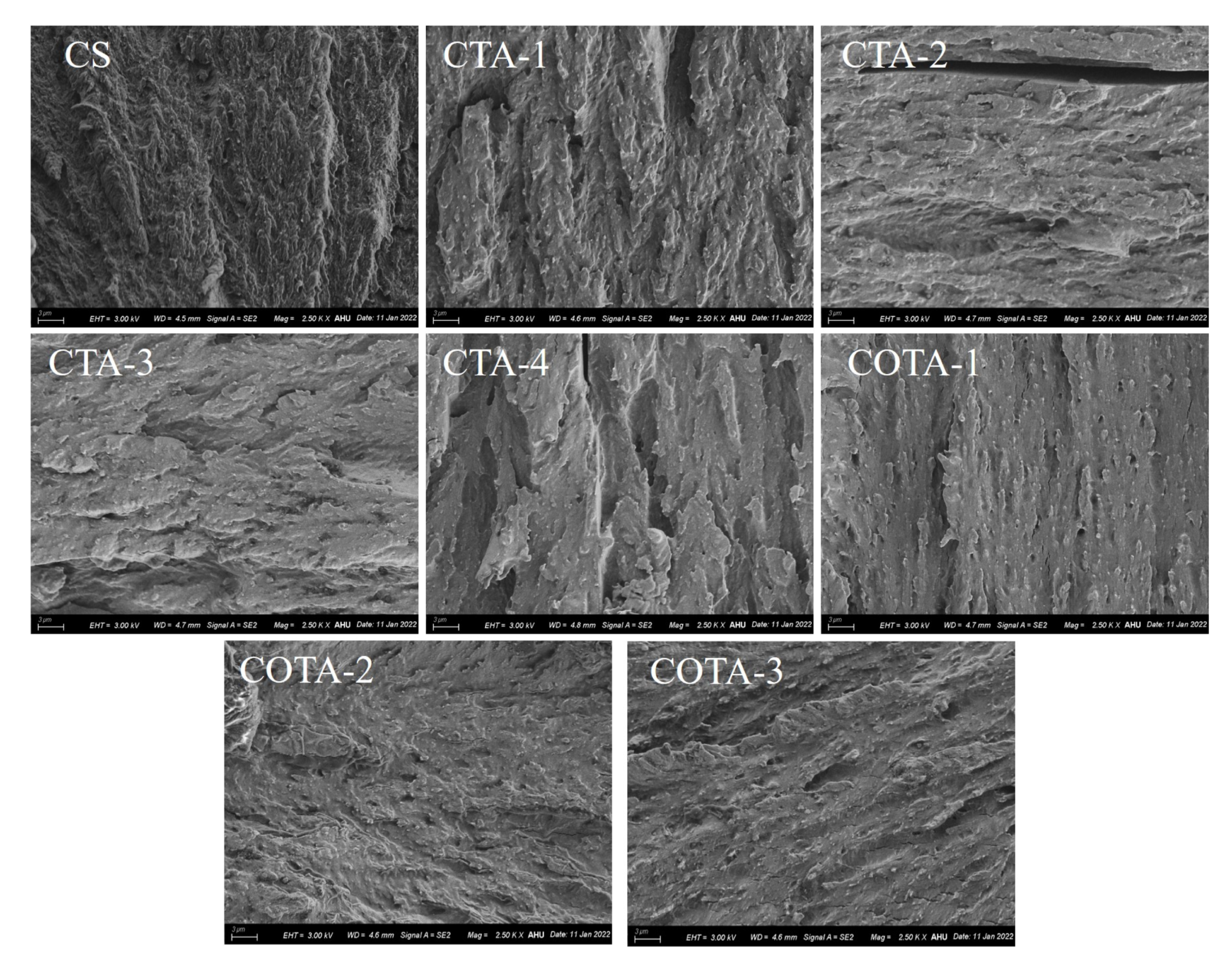 Ijms 23 09284 g009