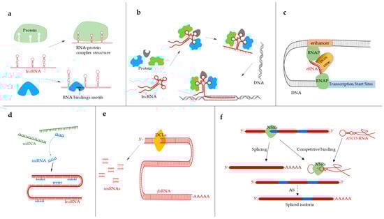Ijms 23 09301 g002 550