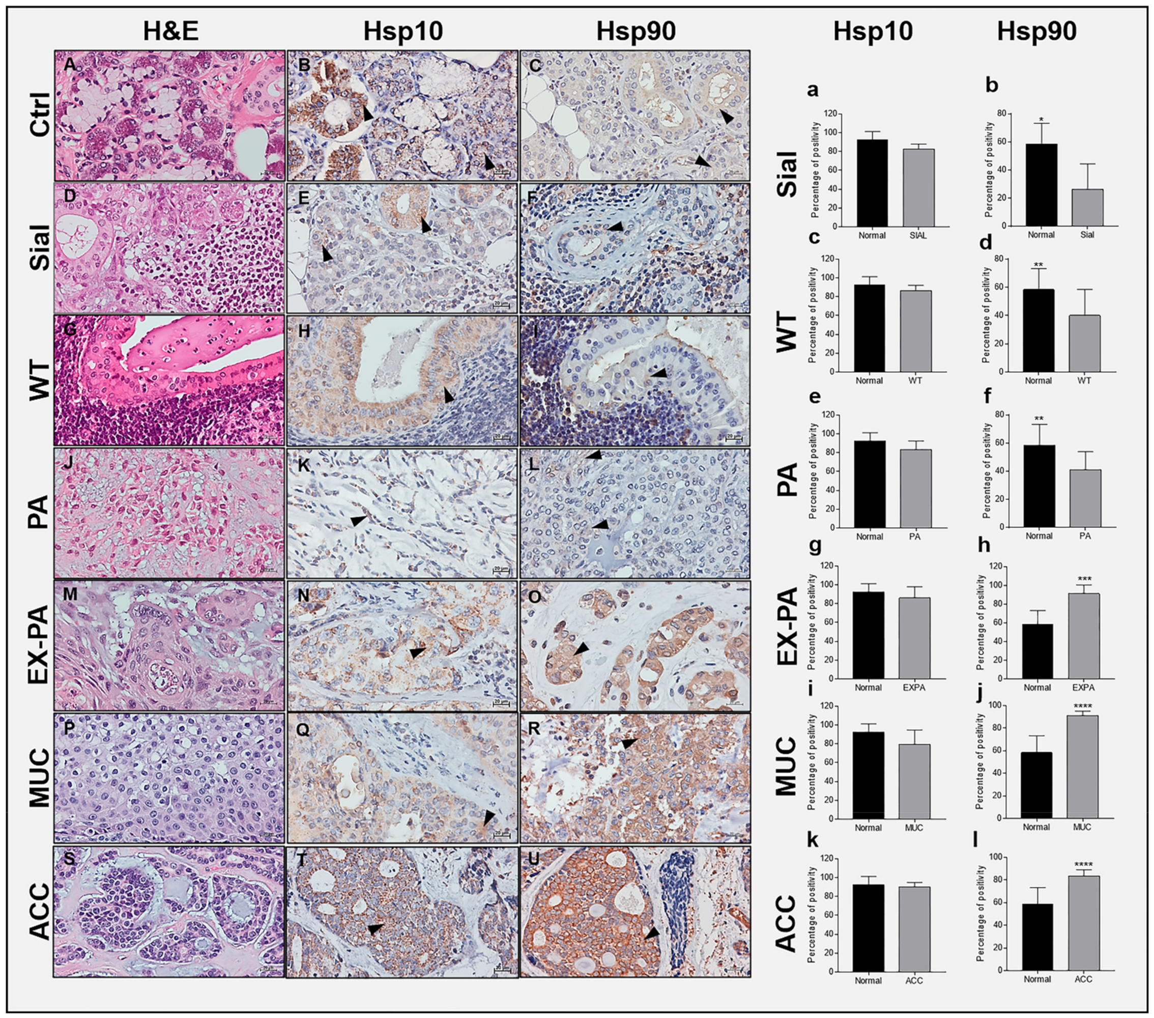 Ijms 23 09317 g001 Ijms 23 09317 g001