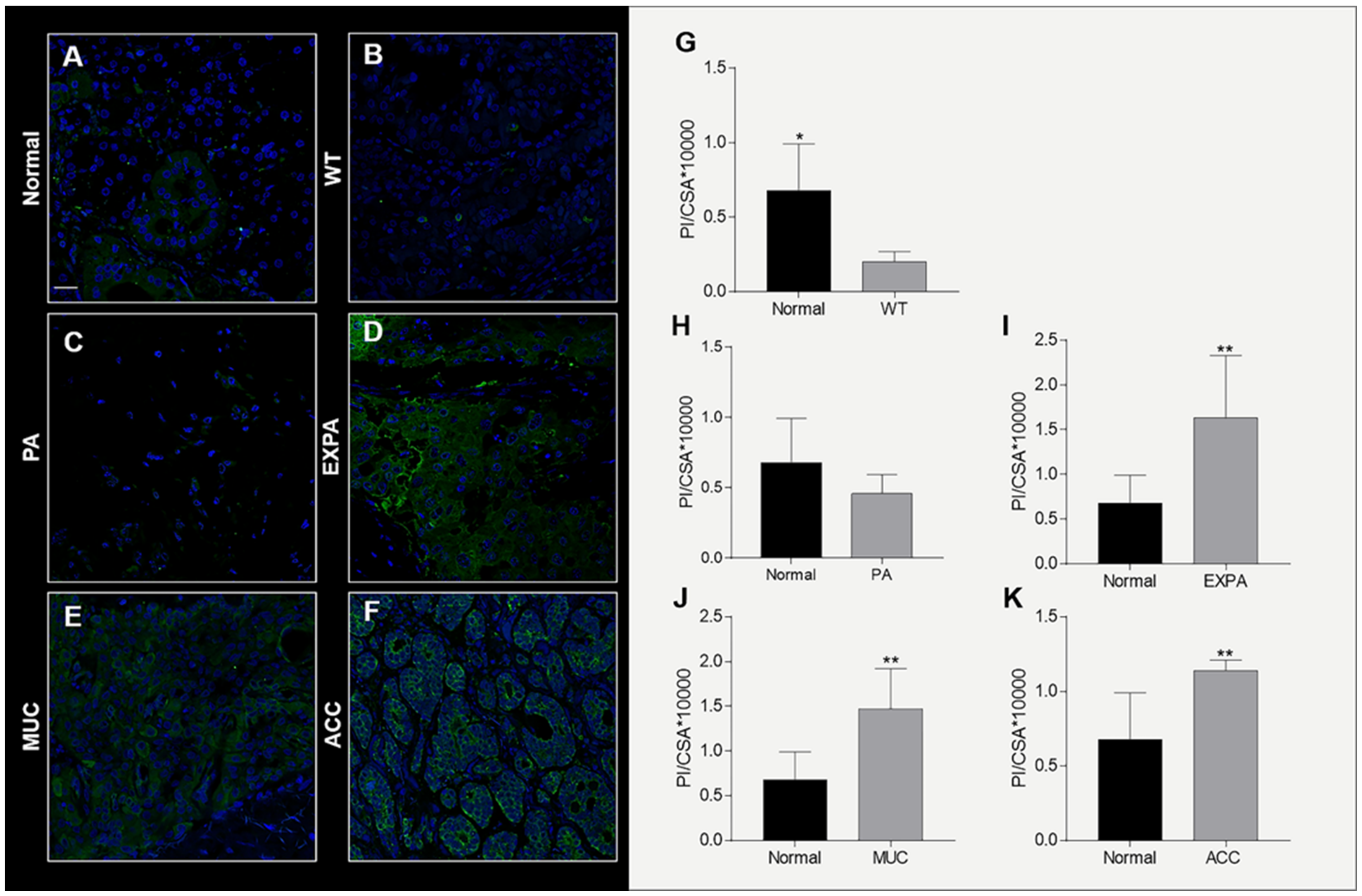 Ijms 23 09317 g002 Ijms 23 09317 g002