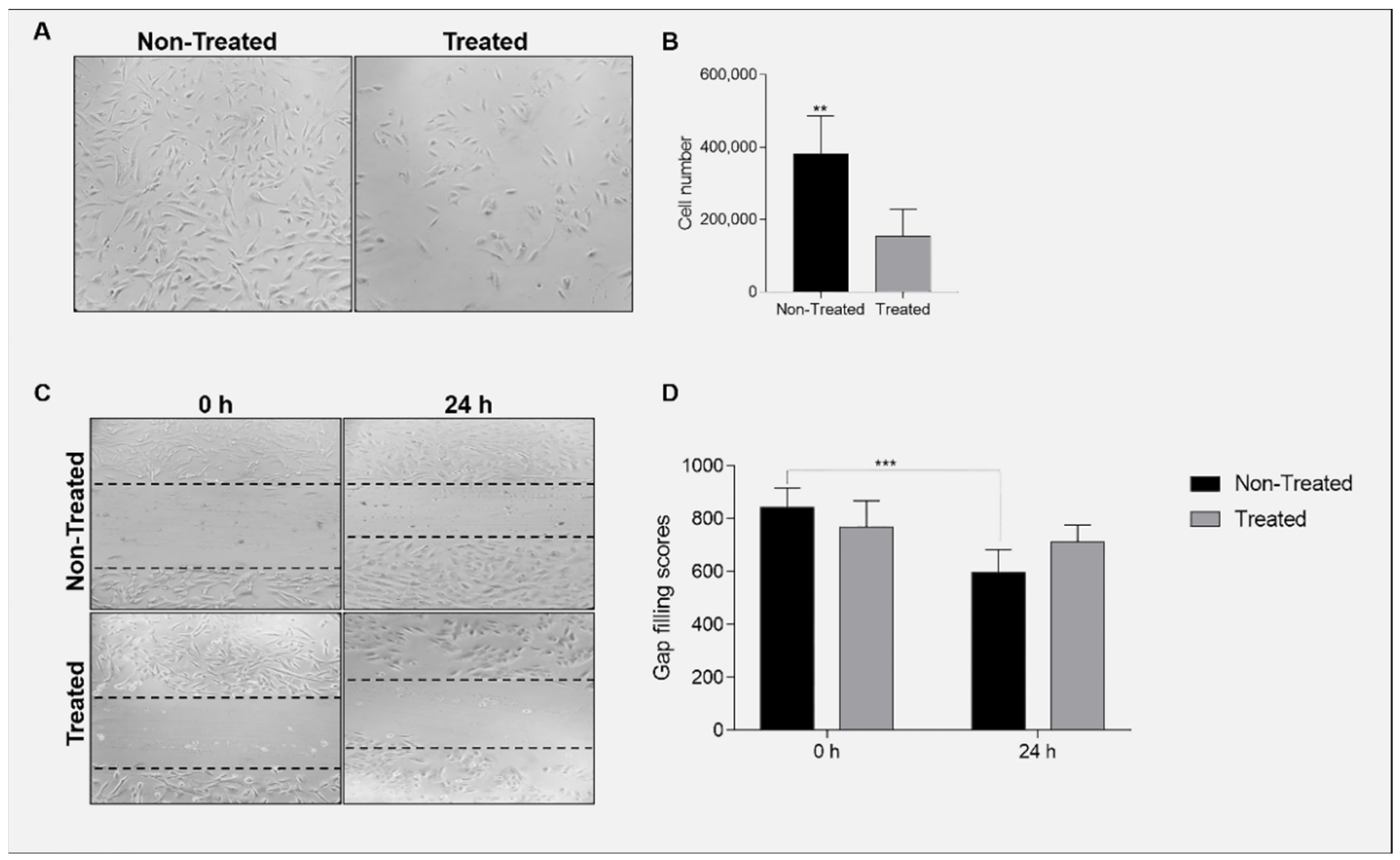 Ijms 23 09317 g004 Ijms 23 09317 g004