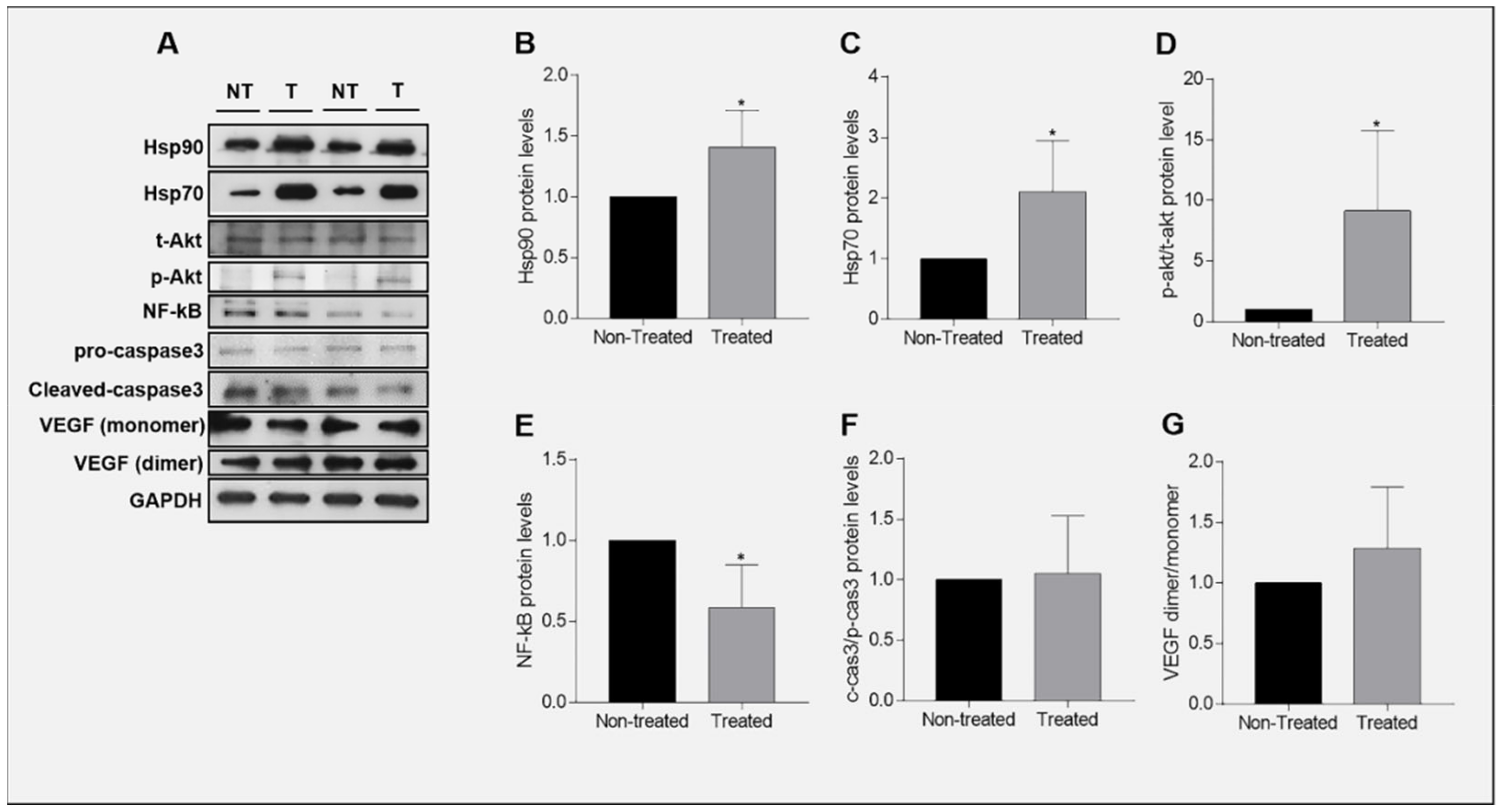 Ijms 23 09317 g005 Ijms 23 09317 g005