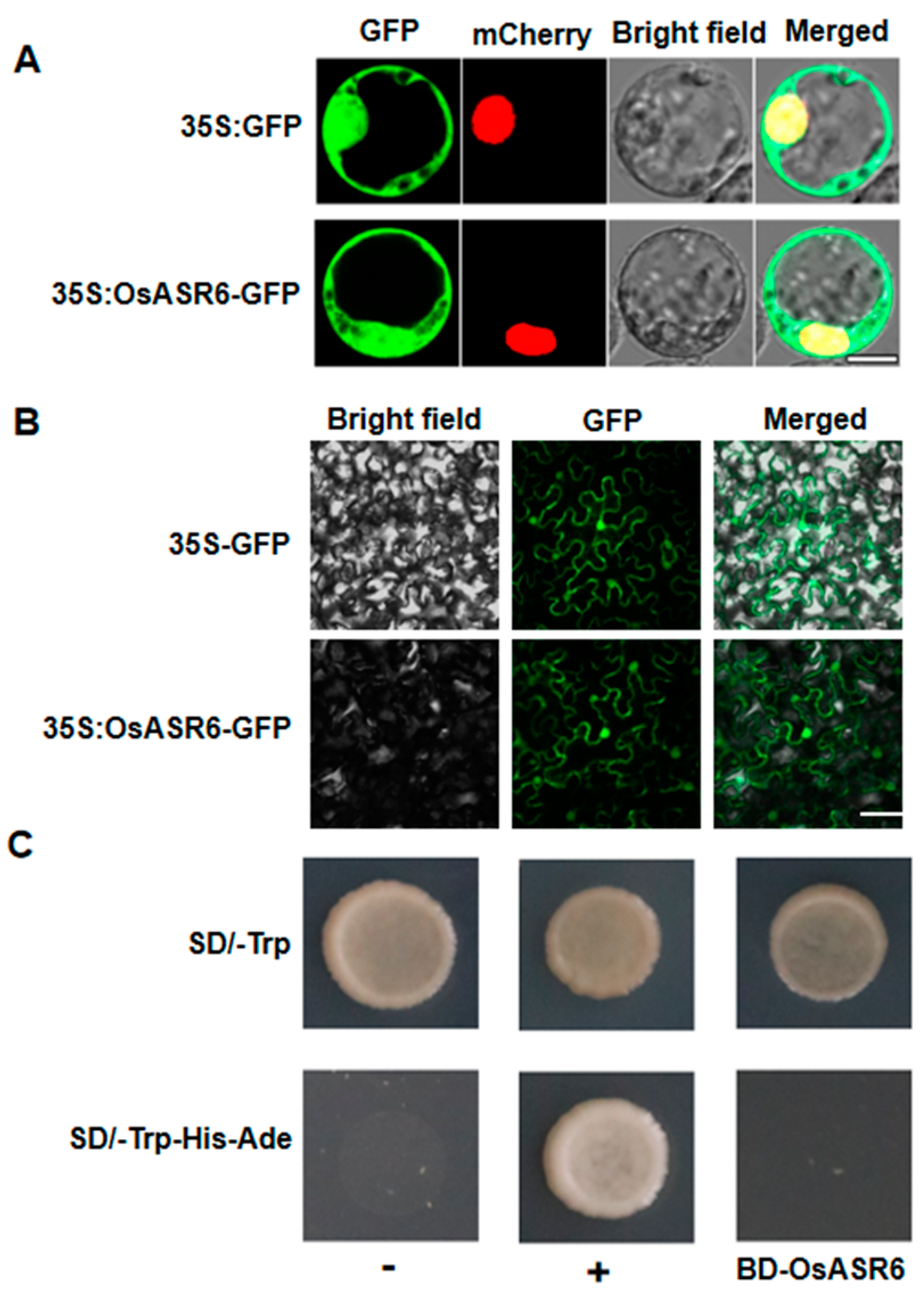 Ijms 23 09340 g002