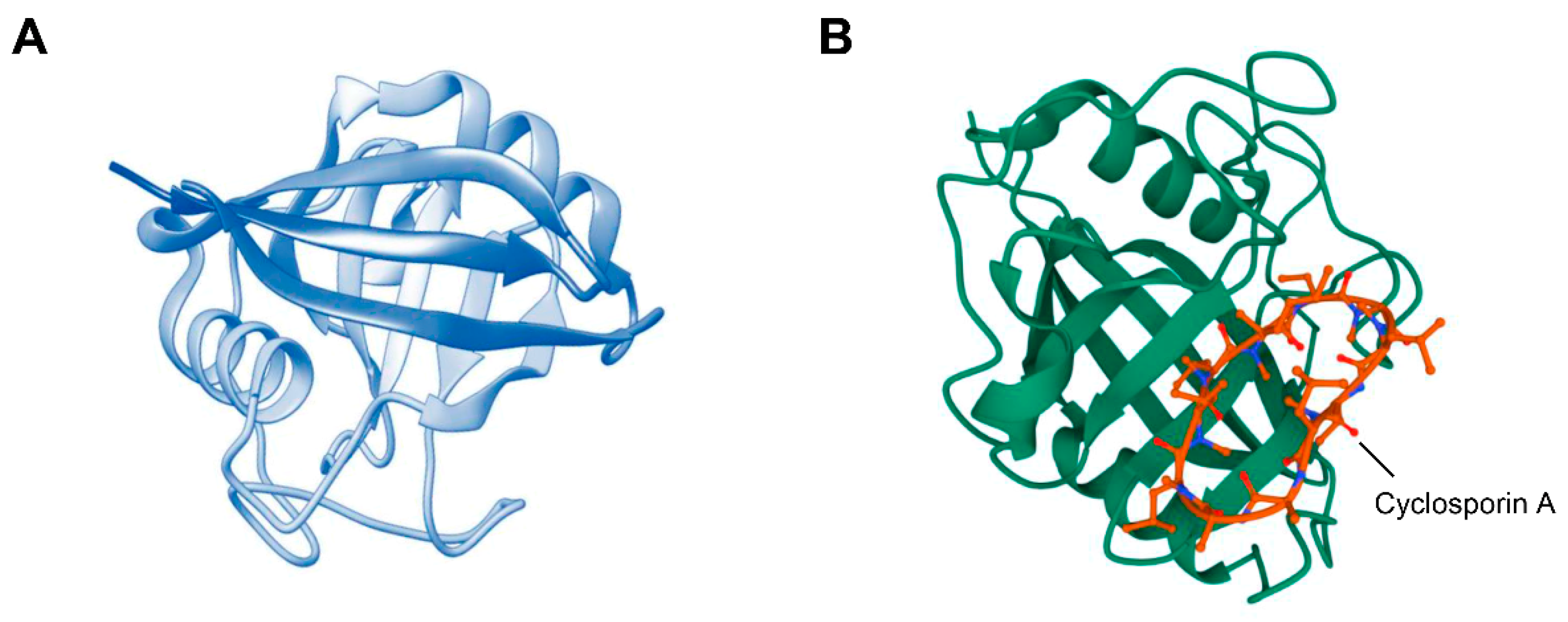 Ijms 23 09341 g001 Ijms 23 09341 g001