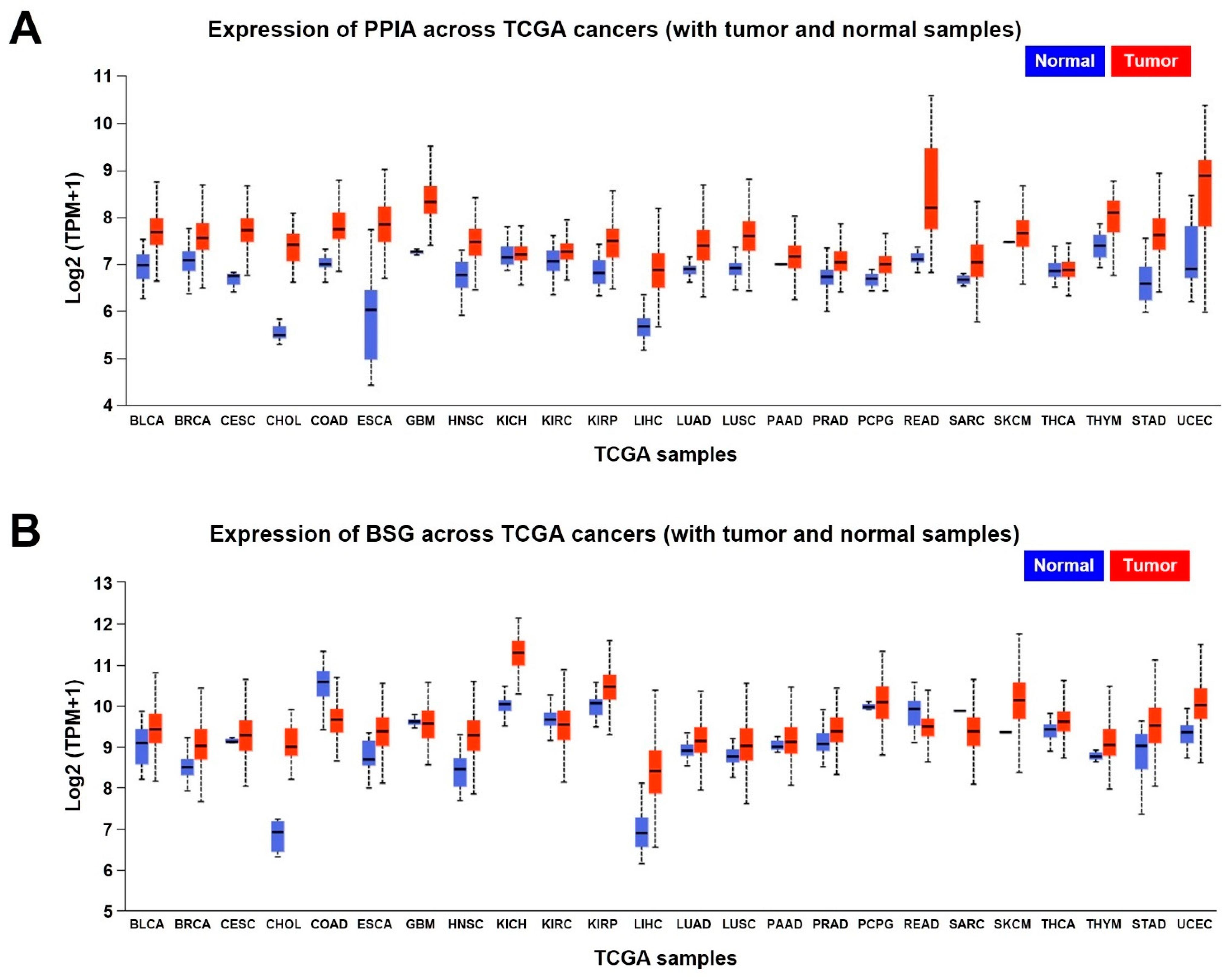 Ijms 23 09341 g005 Ijms 23 09341 g005