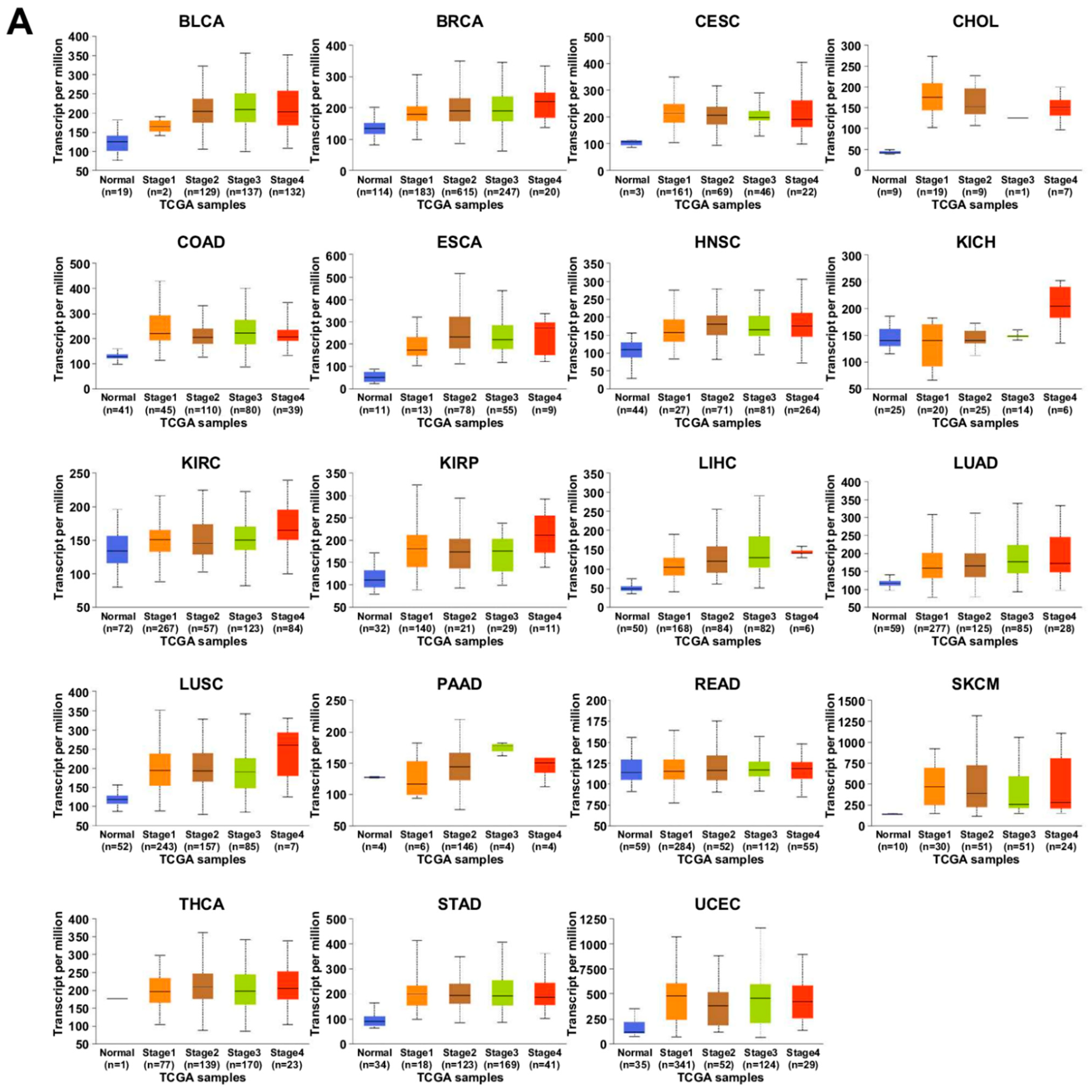 Ijms 23 09341 g006a Ijms 23 09341 g006a