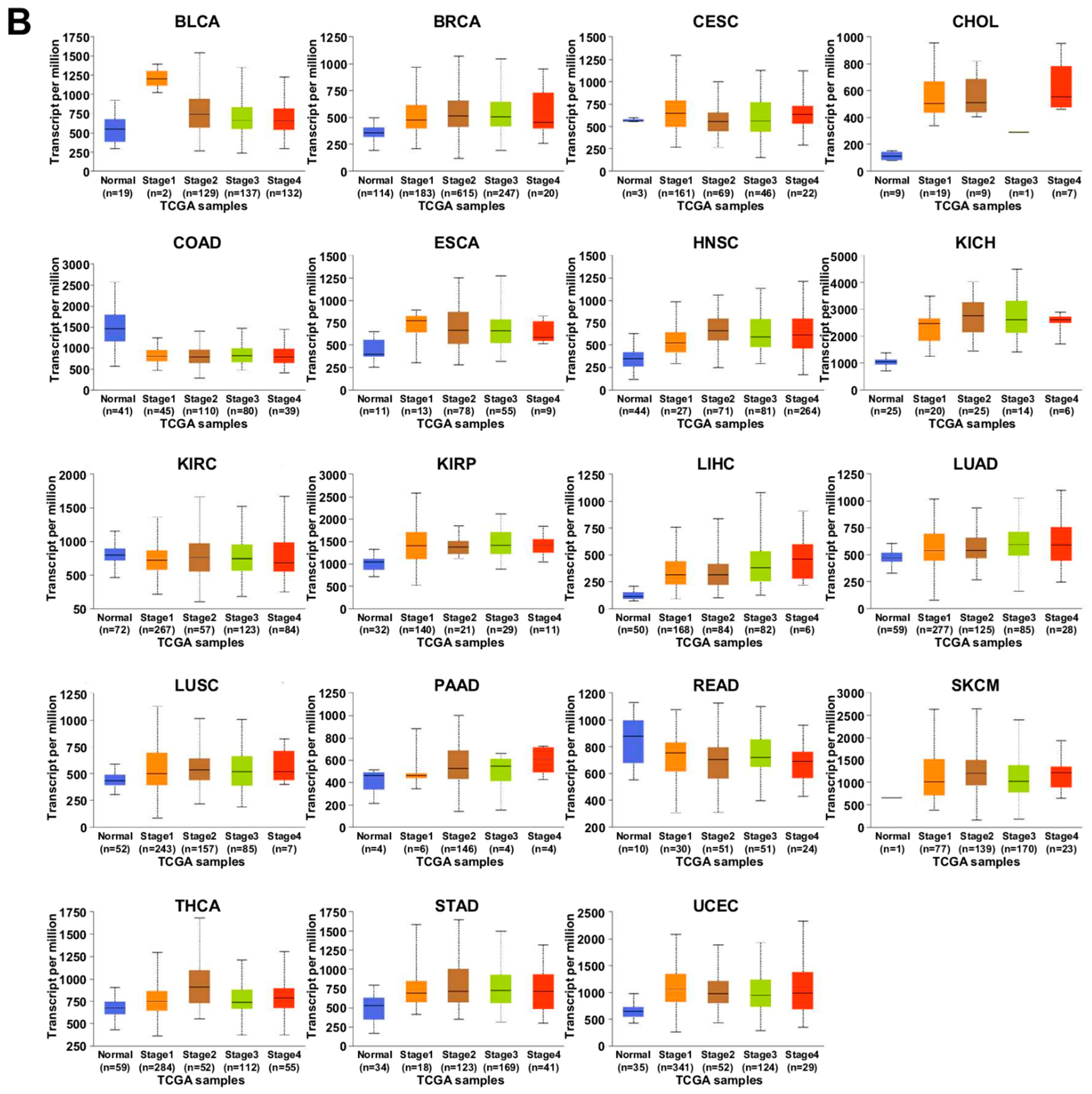 Ijms 23 09341 g006b Ijms 23 09341 g006b