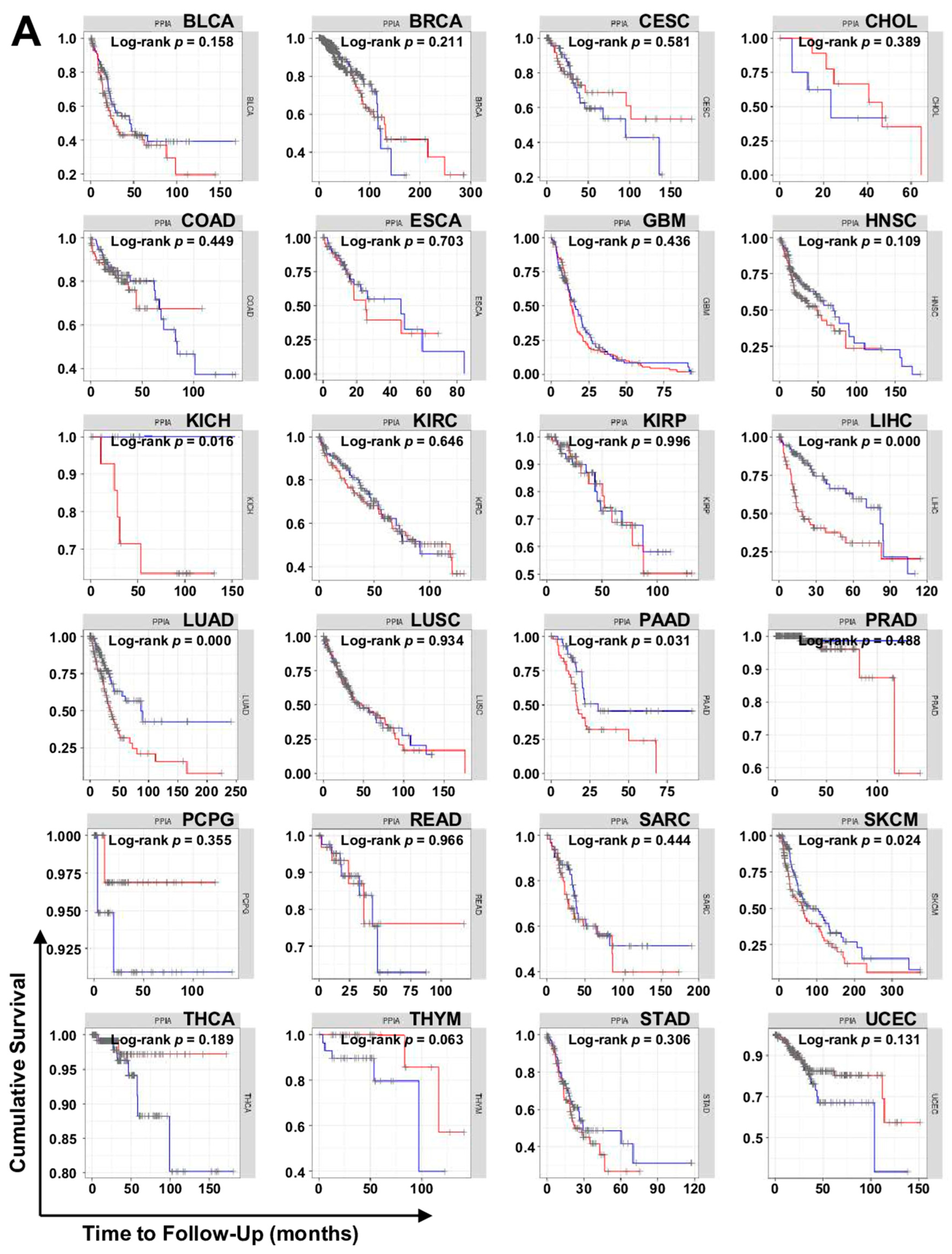 Ijms 23 09341 g007a Ijms 23 09341 g007a