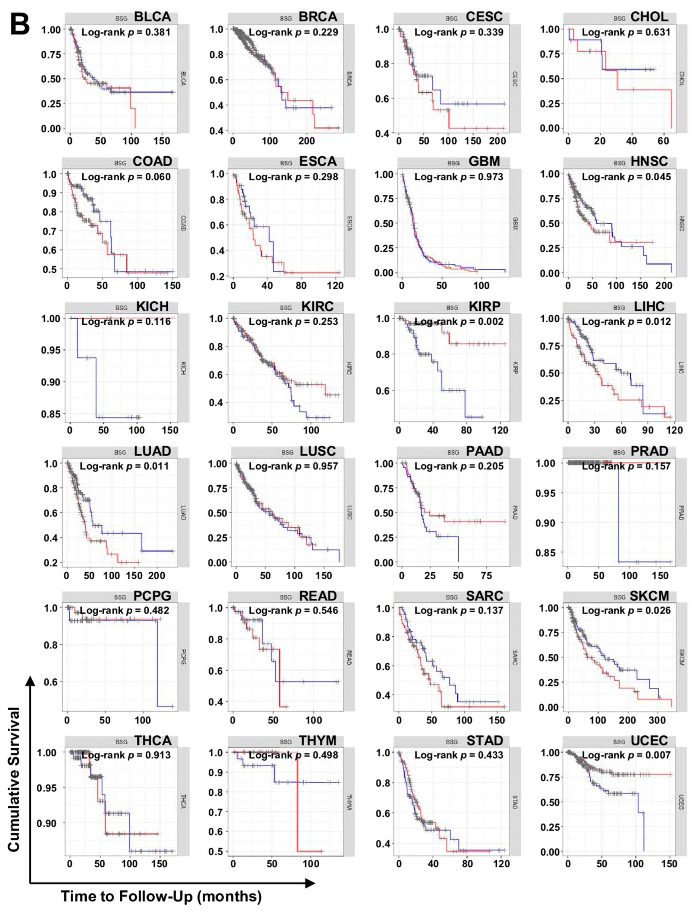 Ijms 23 09341 g007b Ijms 23 09341 g007b
