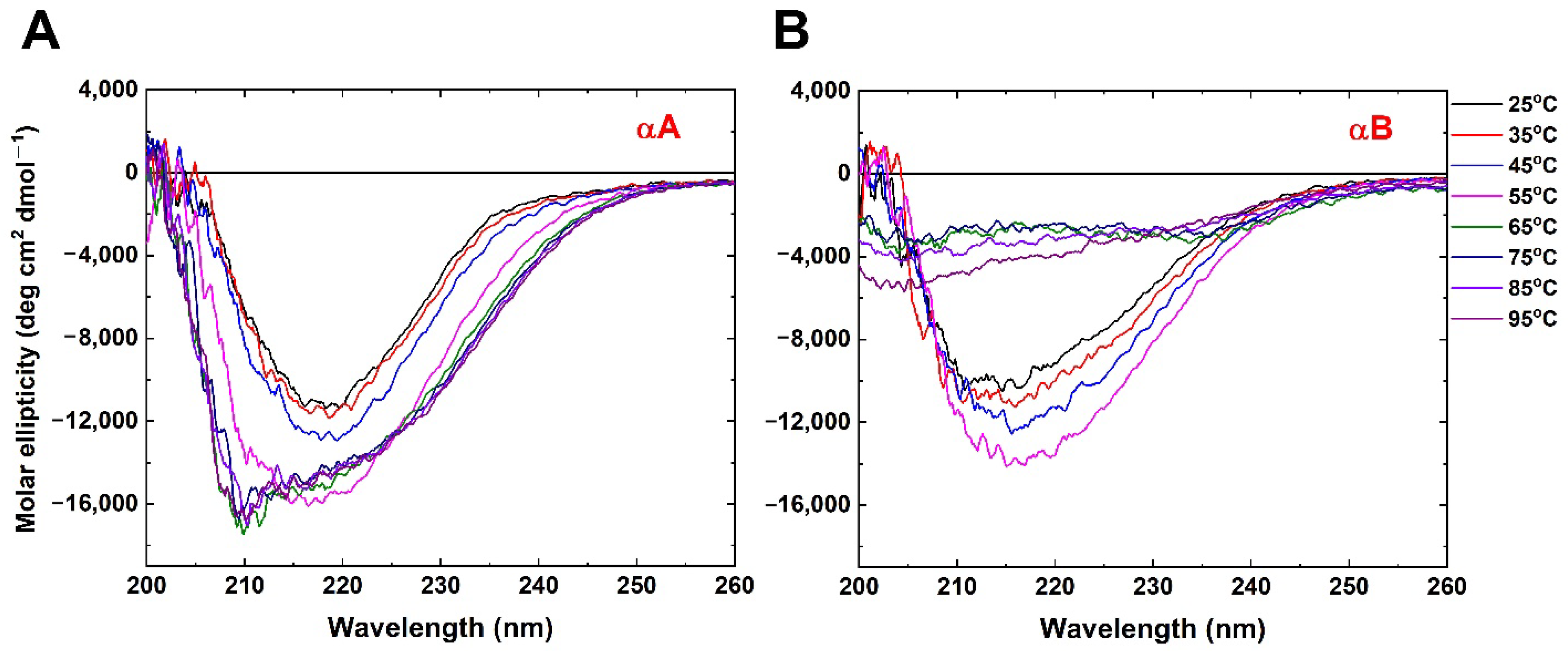 Ijms 23 09347 g001 Ijms 23 09347 g001