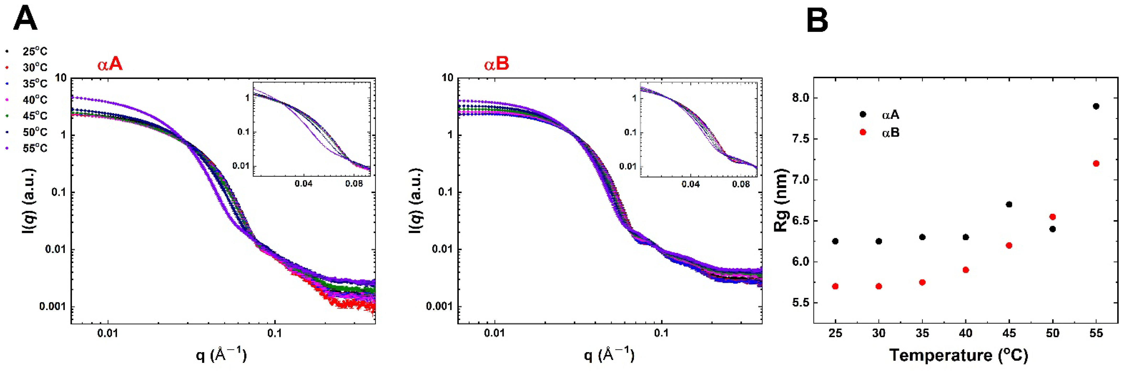 Ijms 23 09347 g004 Ijms 23 09347 g004