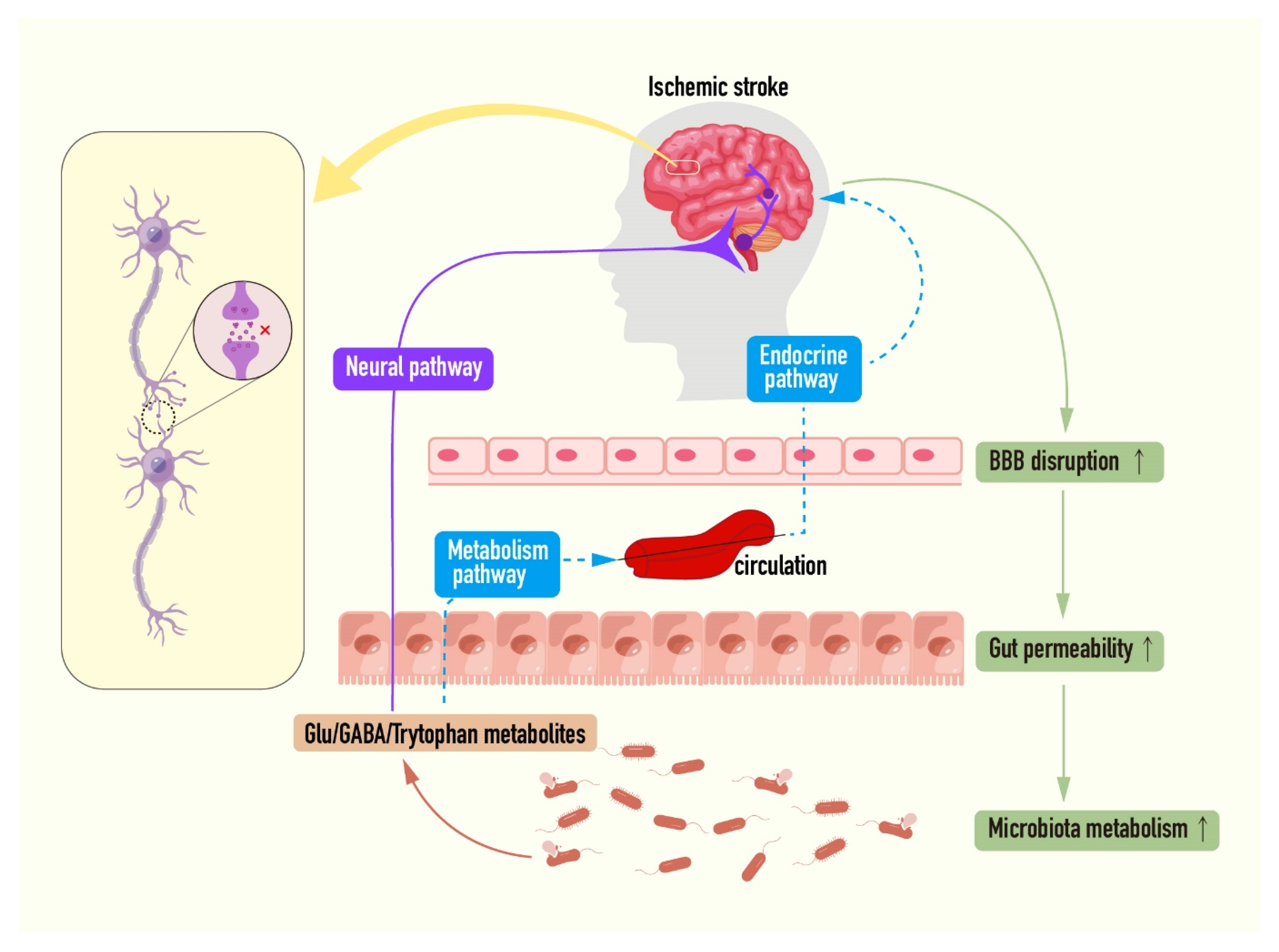 Ijms 23 09381 g004 Ijms 23 09381 g004