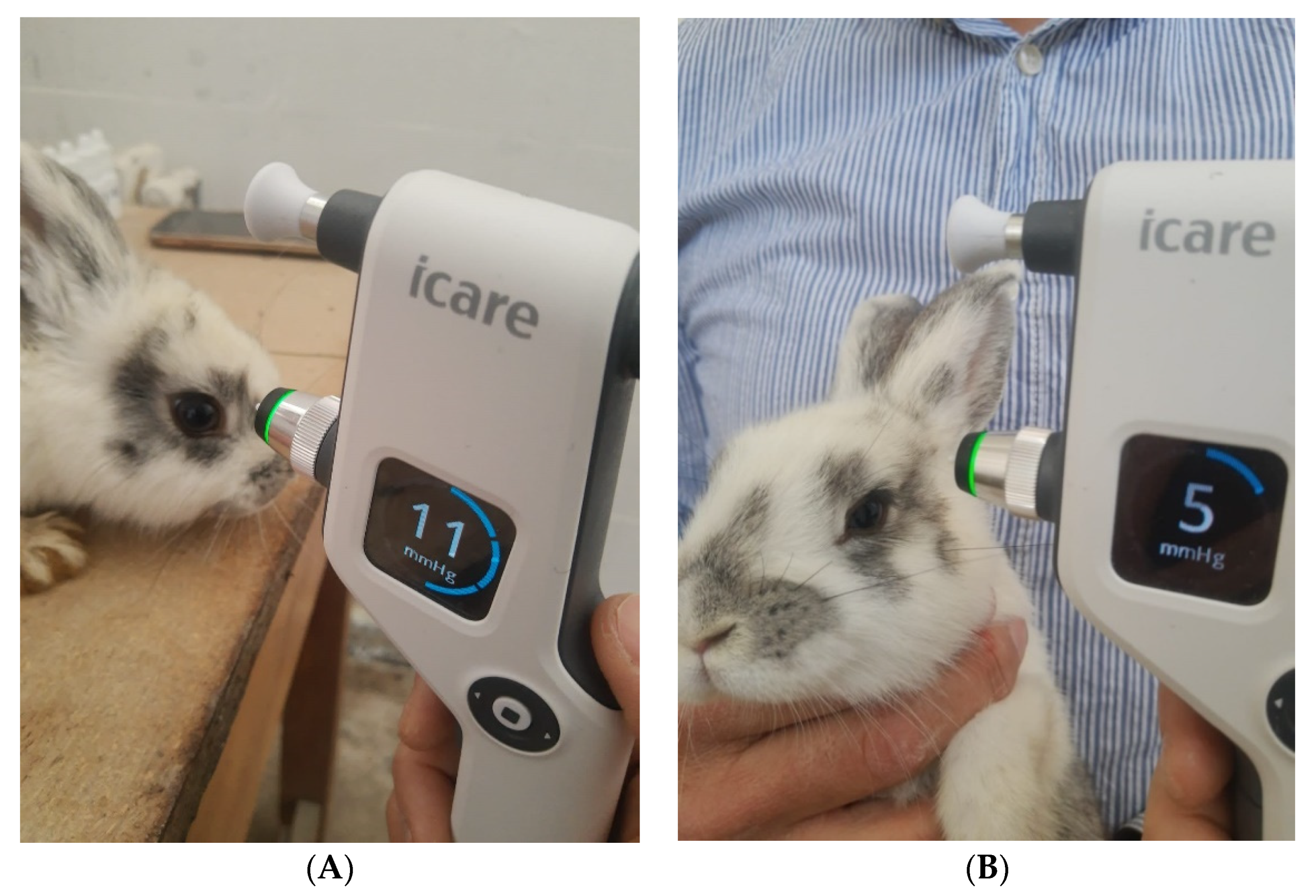 Ijms 23 09382 g007 Ijms 23 09382 g007