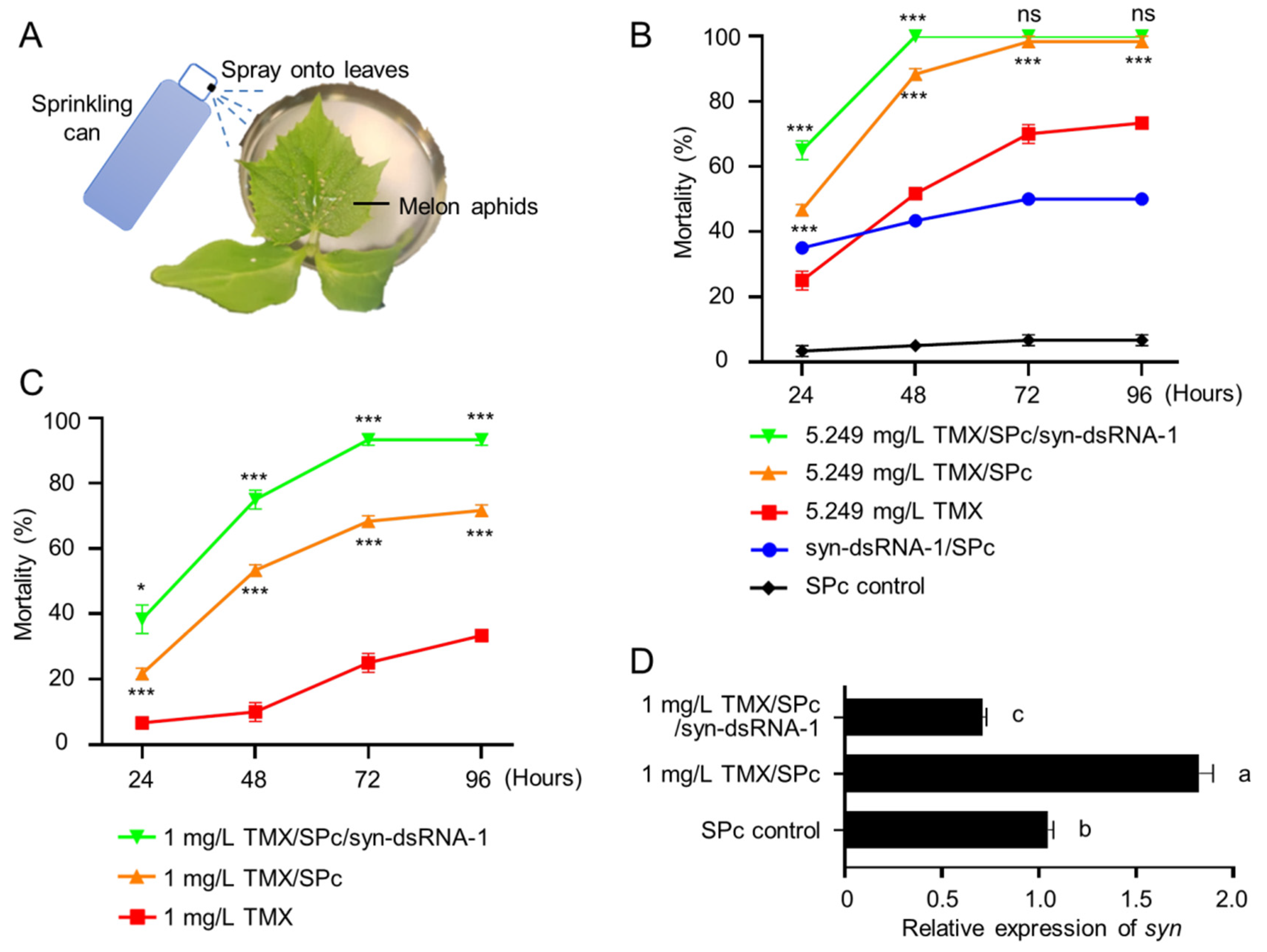 Ijms 23 09388 g005 Ijms 23 09388 g005