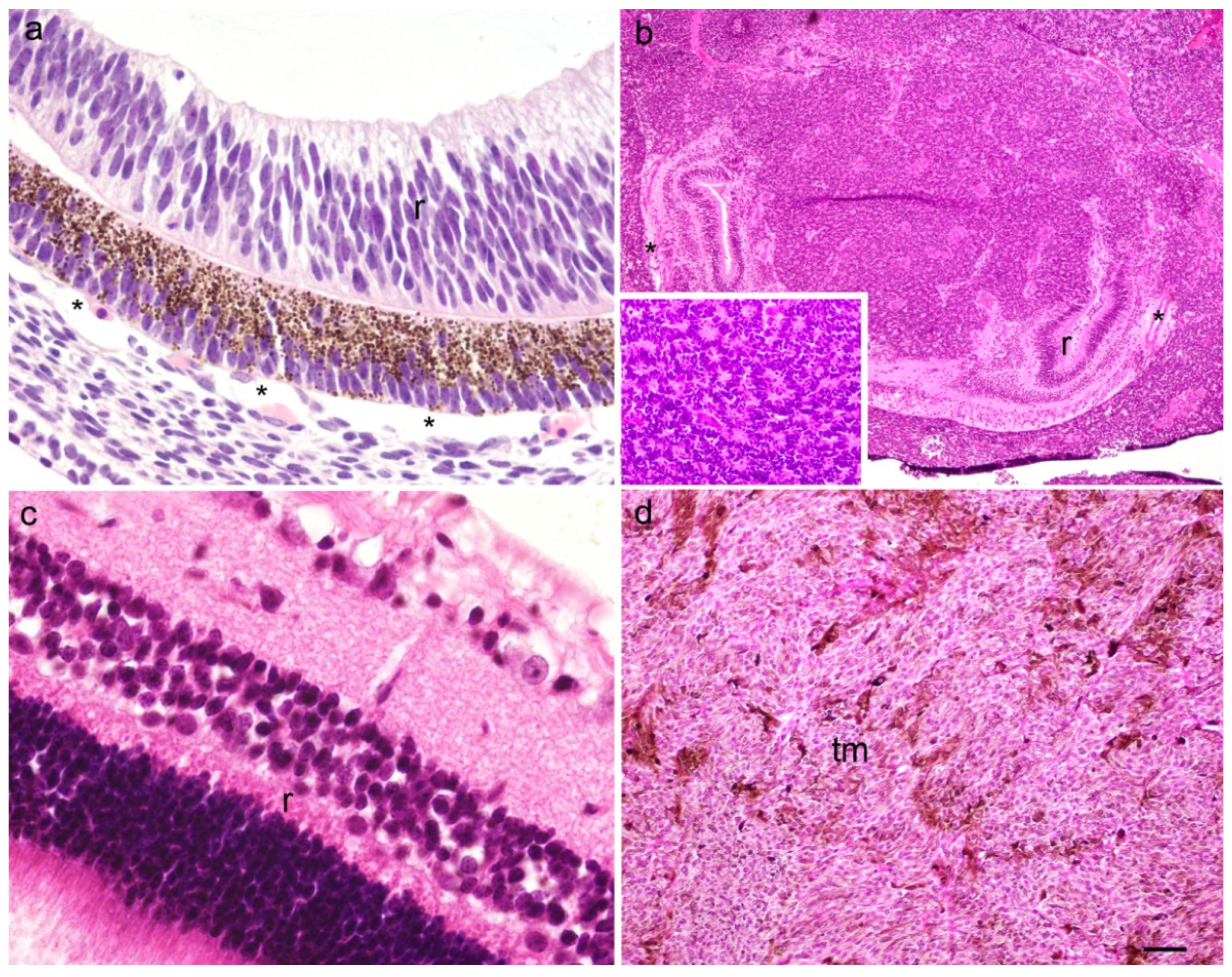 Ijms 23 09421 g001 Ijms 23 09421 g001