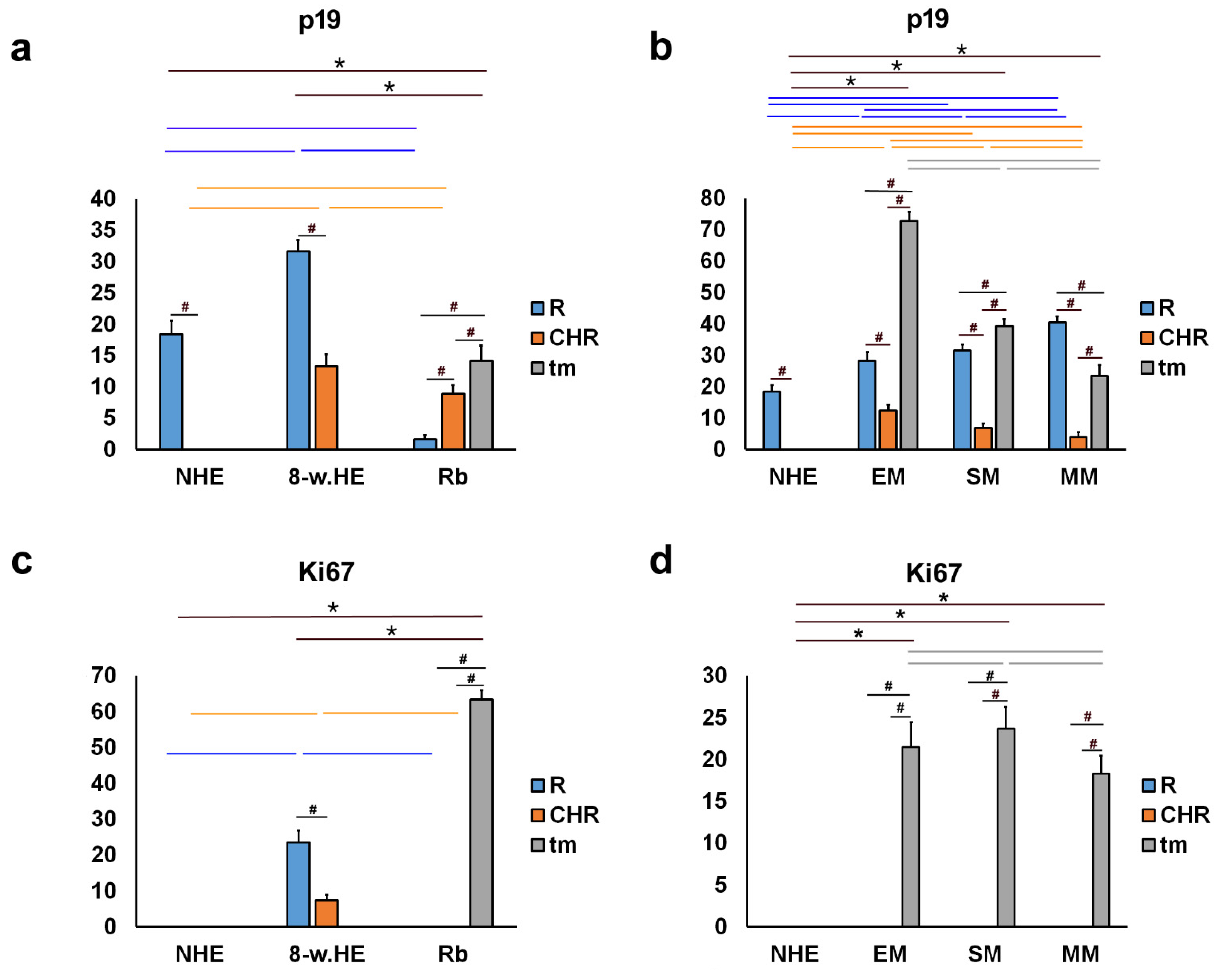 Ijms 23 09421 g003 Ijms 23 09421 g003