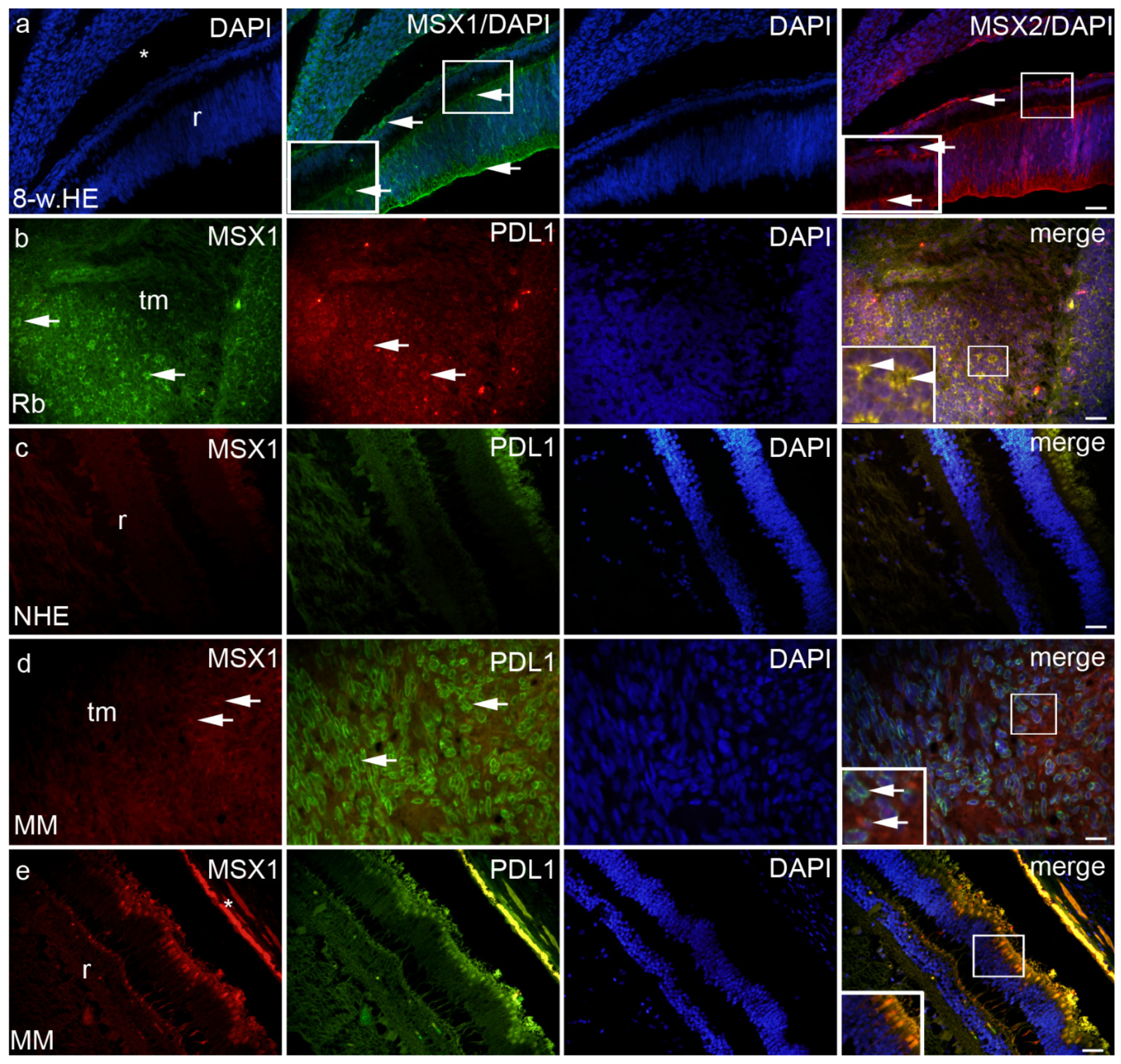Ijms 23 09421 g004 Ijms 23 09421 g004