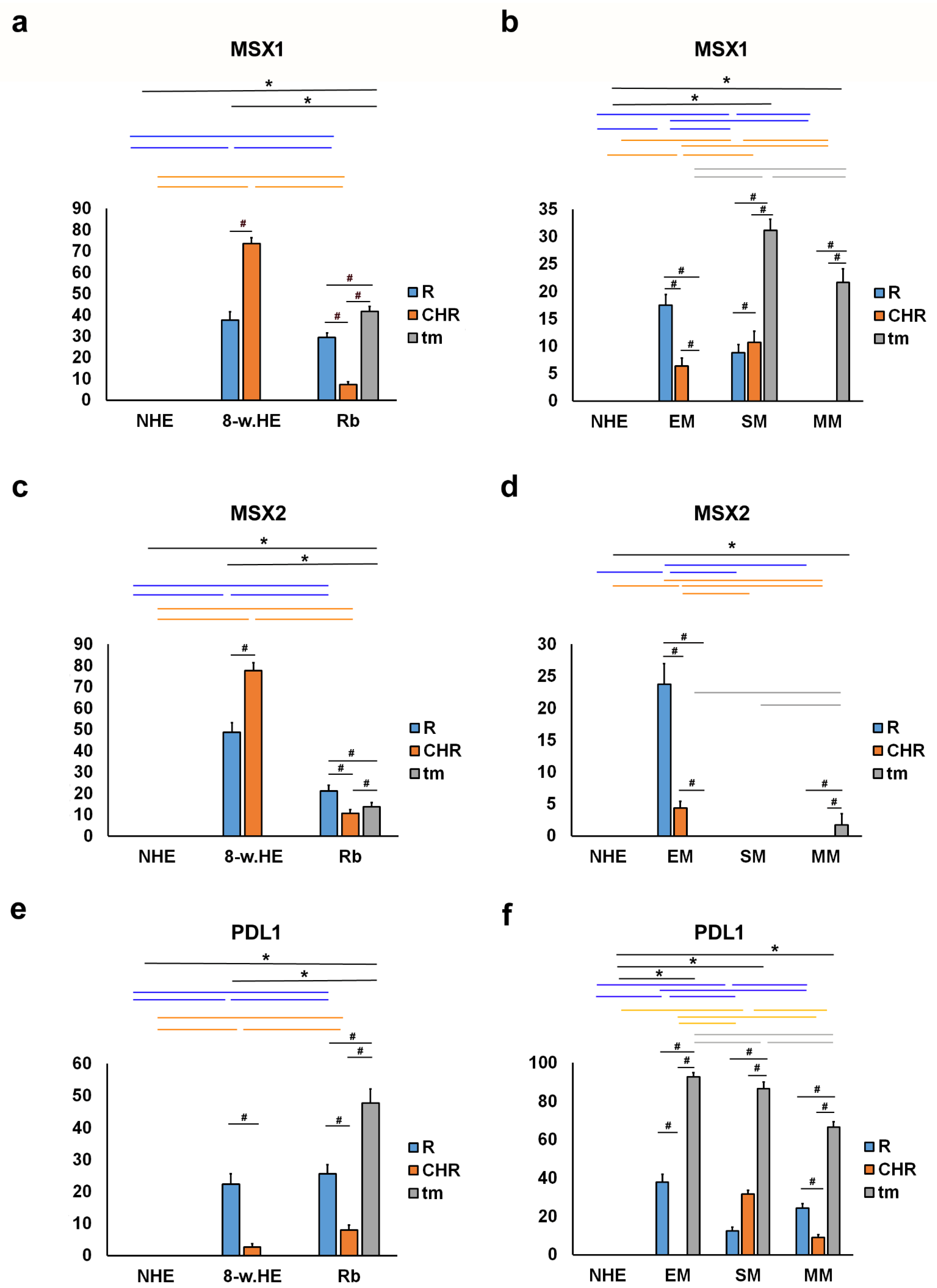 Ijms 23 09421 g005 Ijms 23 09421 g005