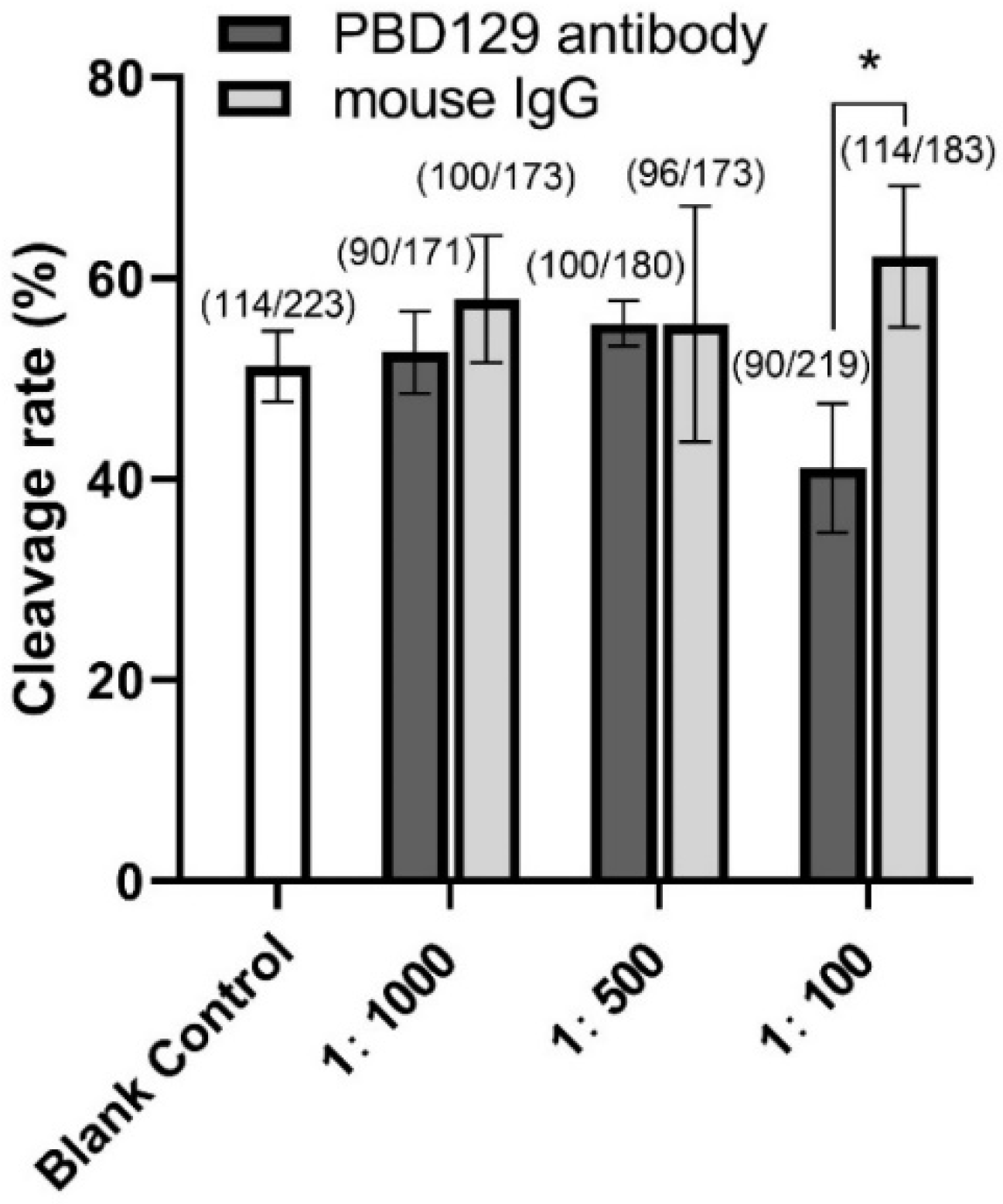 Ijms 23 09441 g009 Ijms 23 09441 g009