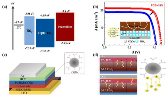 Ijms 23 09482 g002 550