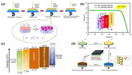 Ijms 23 09482 g004 550