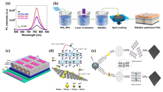 Ijms 23 09482 g006 550