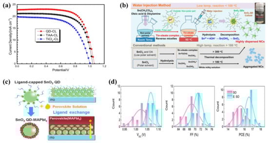 Ijms 23 09482 g008 550