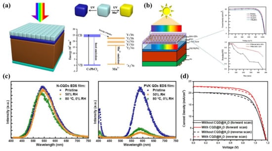 Ijms 23 09482 g011 550